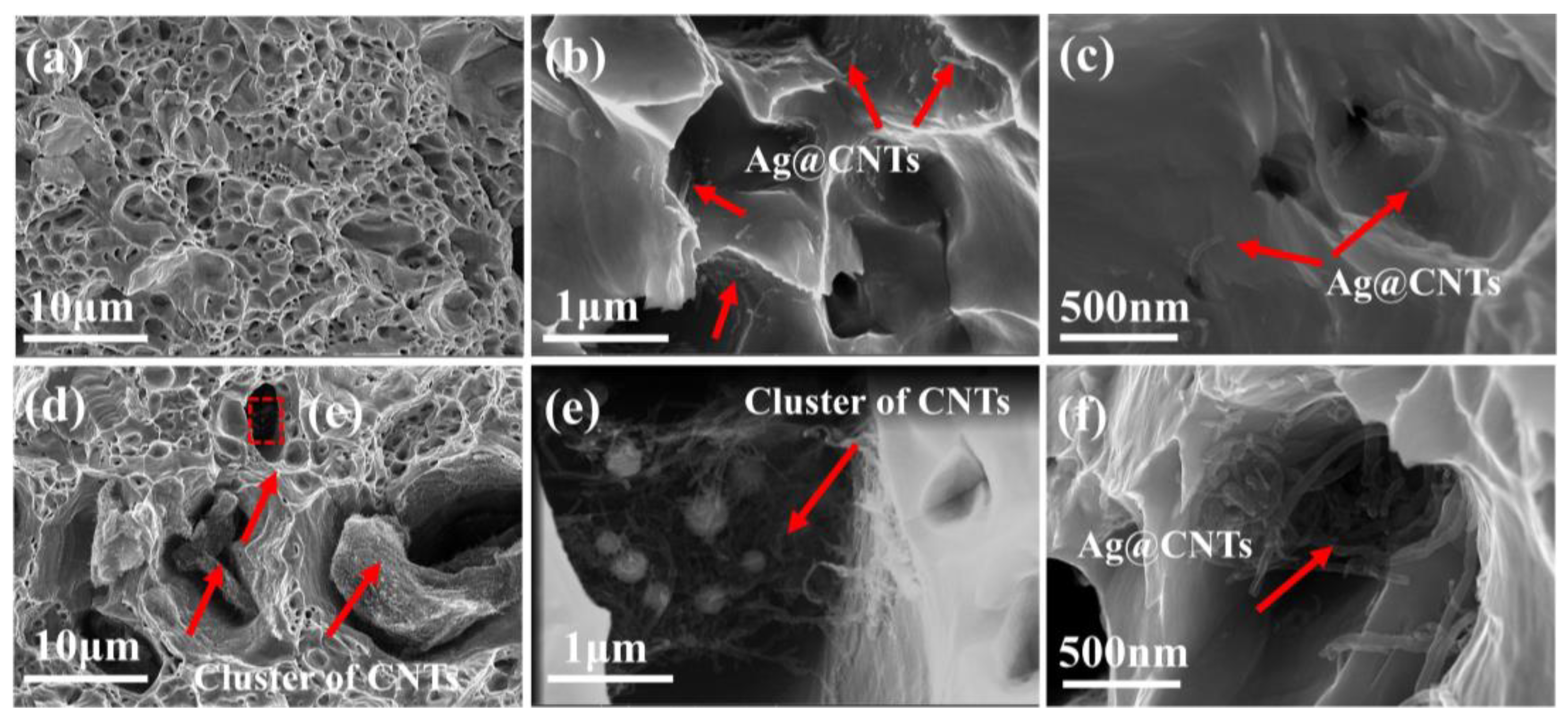 Nanomaterials 13 00887 g011 Nanomaterials 13 00887 g011