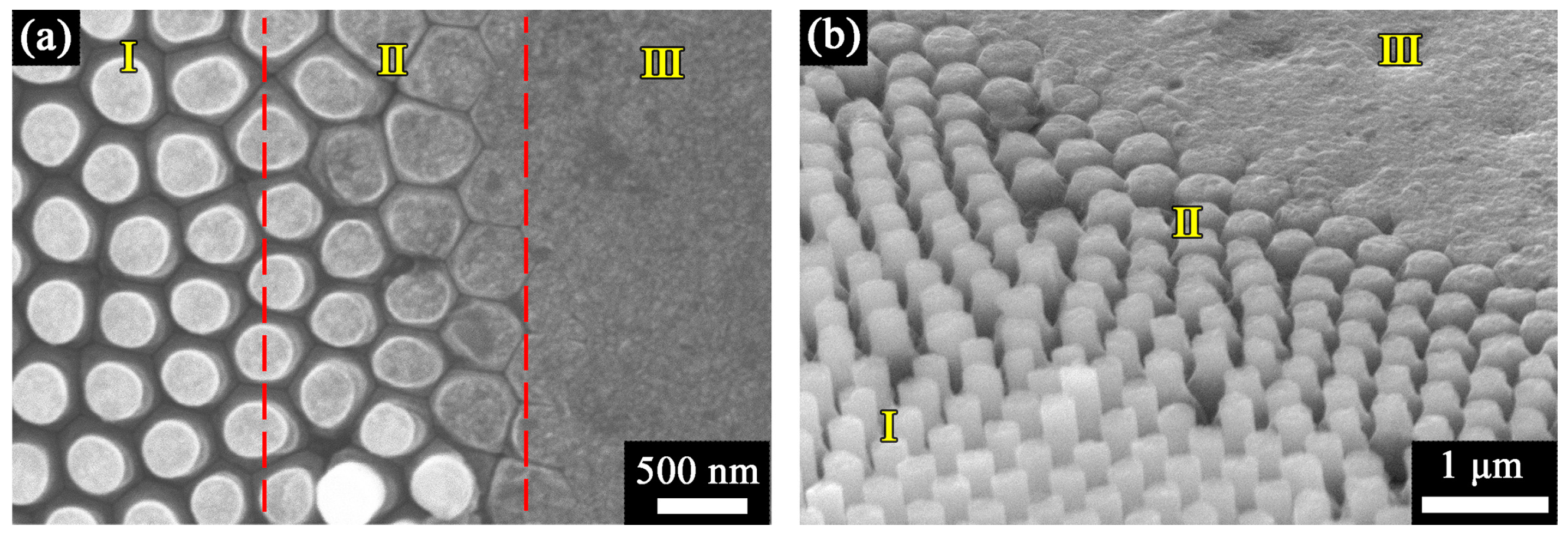 Nanomaterials 13 00888 g003 Nanomaterials 13 00888 g003