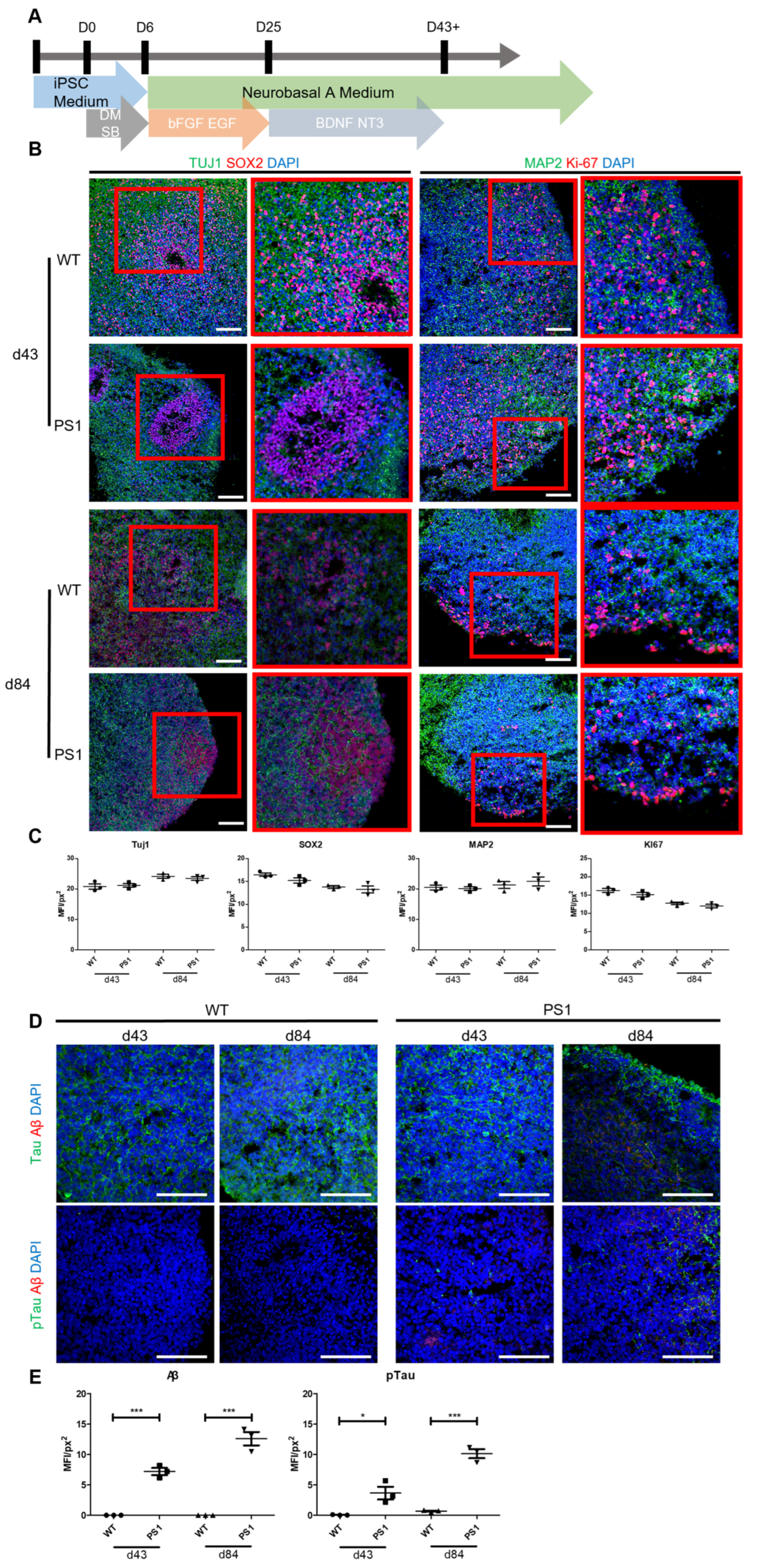Nanomaterials 13 00893 g001
