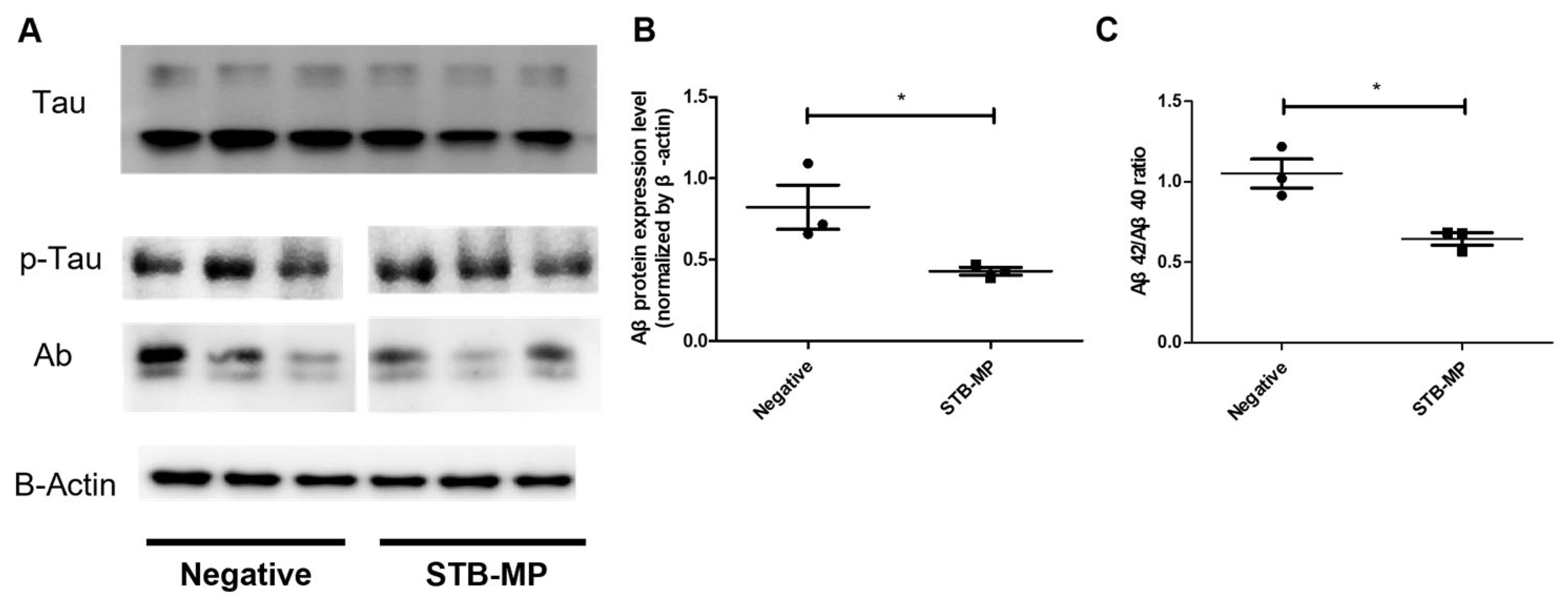 Nanomaterials 13 00893 g003
