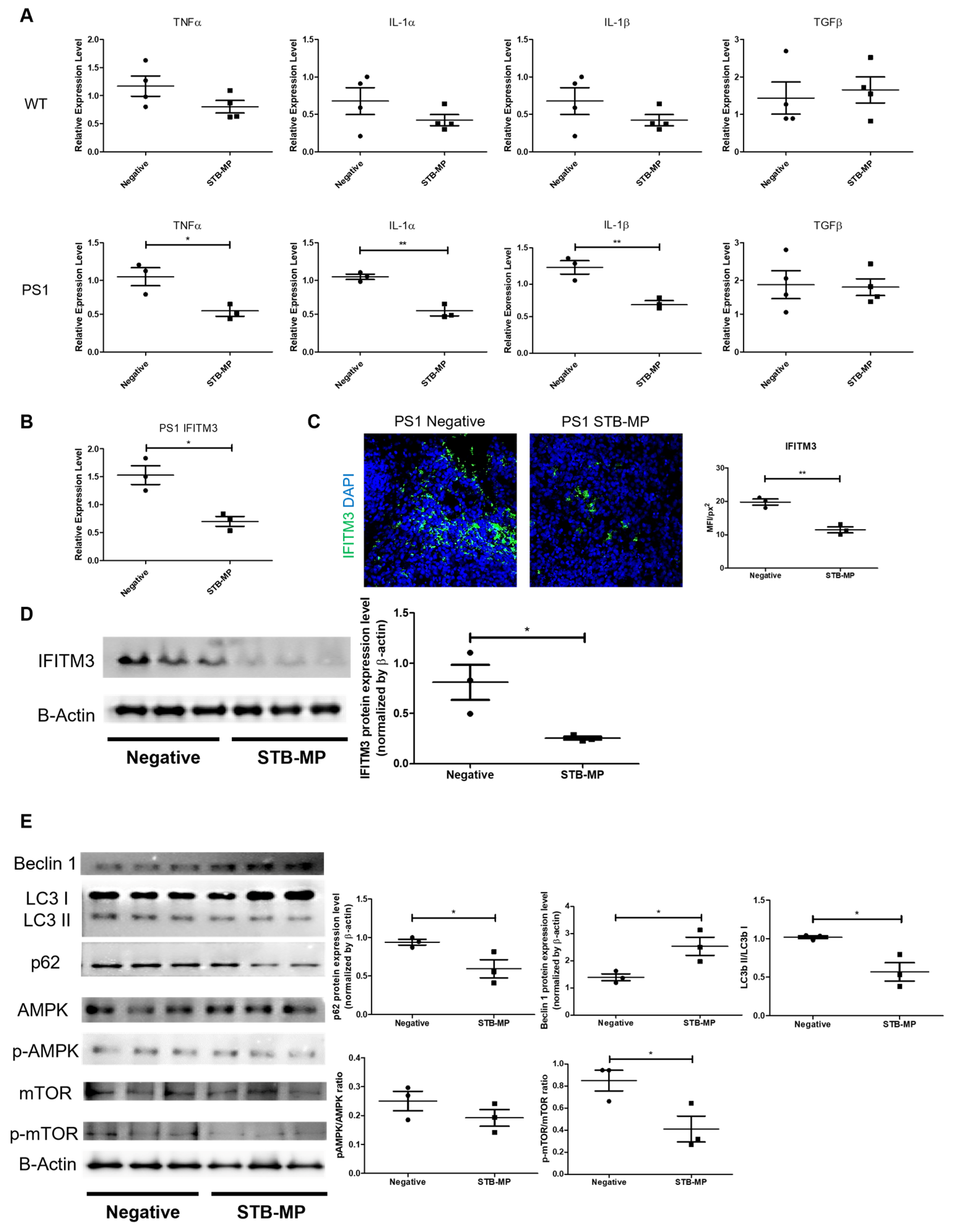 Nanomaterials 13 00893 g004