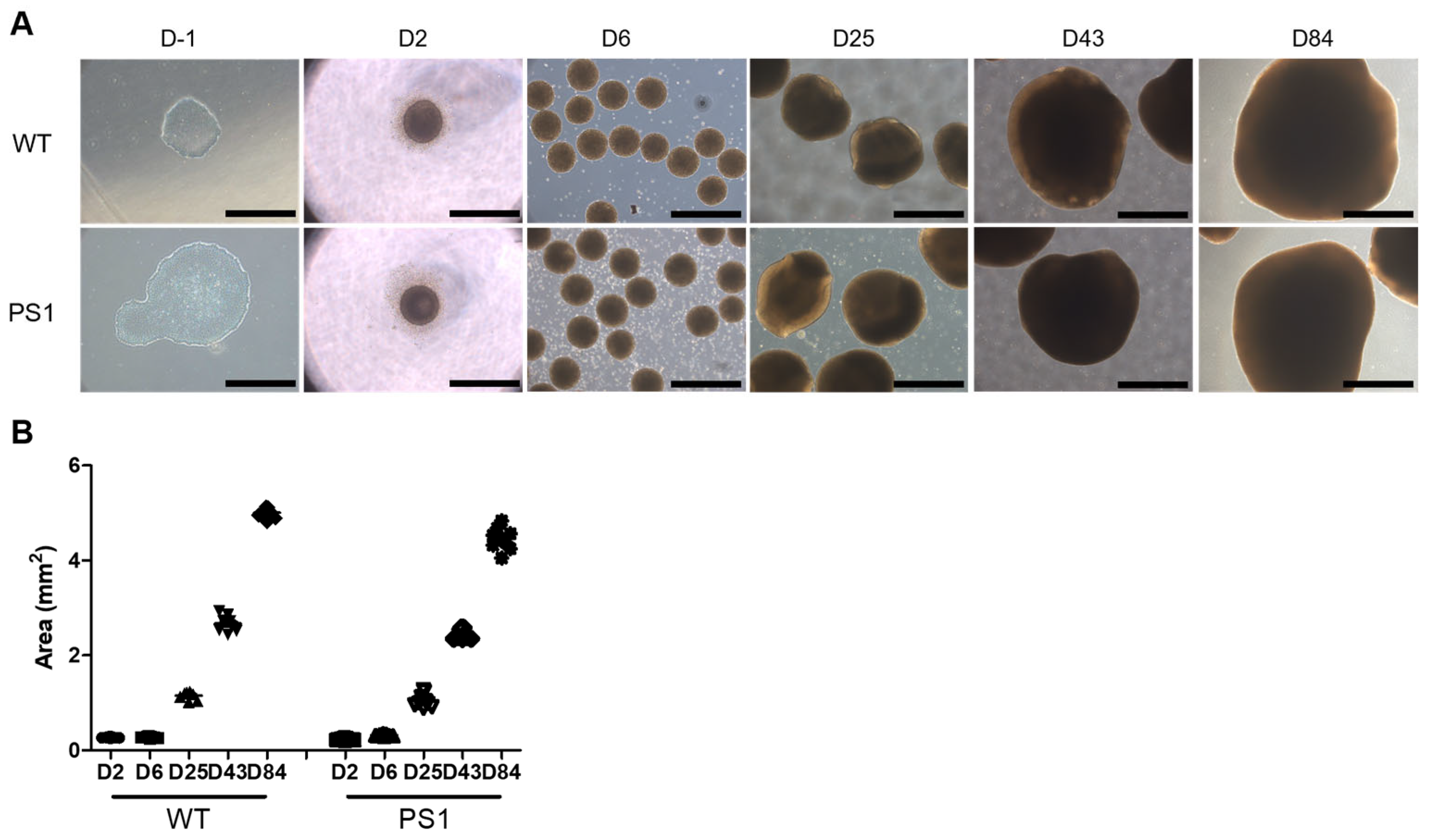 Nanomaterials 13 00893 g0a1