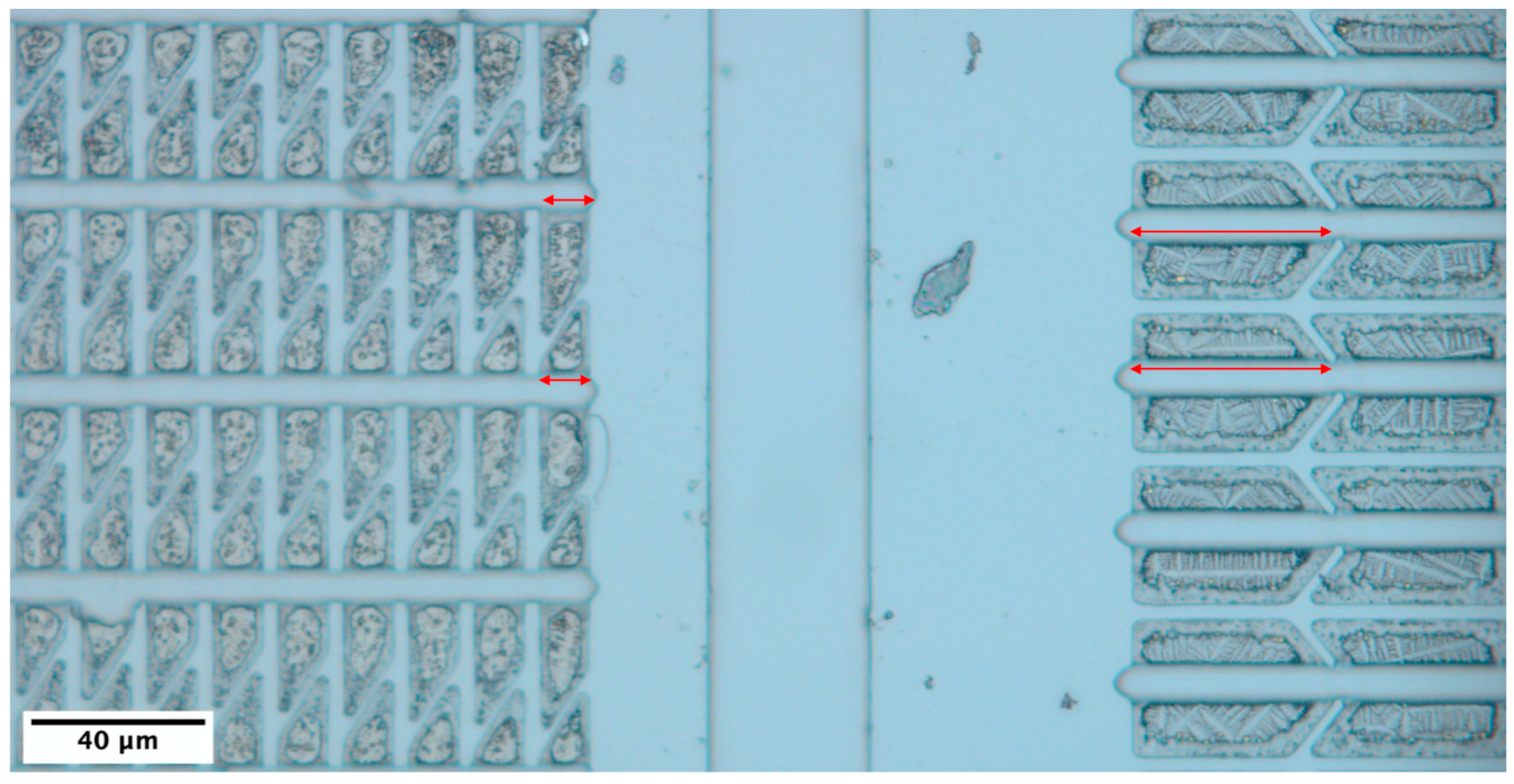 Nanomaterials 13 00894 g002