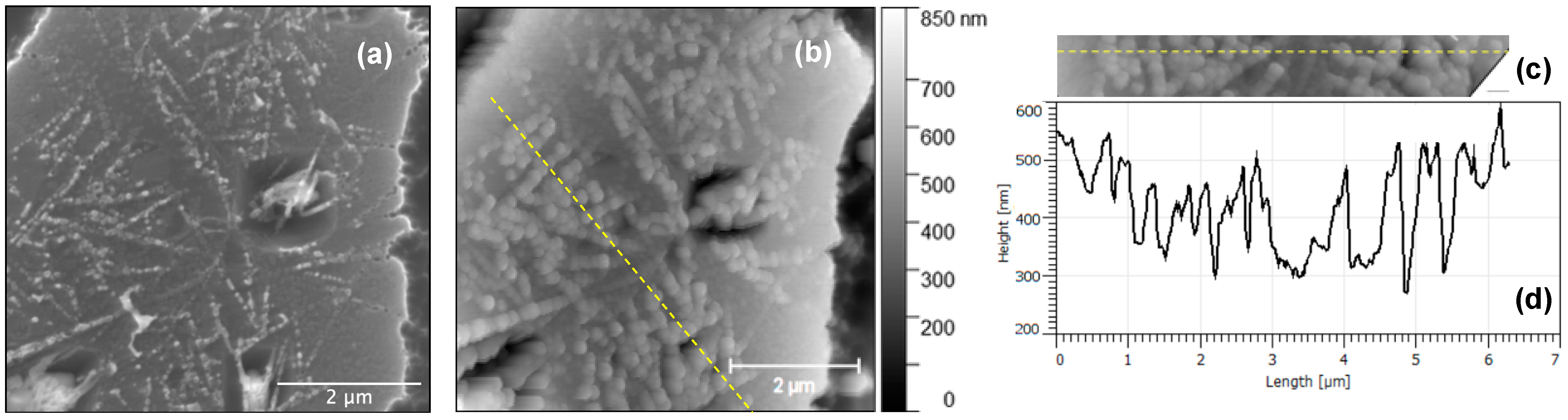 Nanomaterials 13 00894 g004