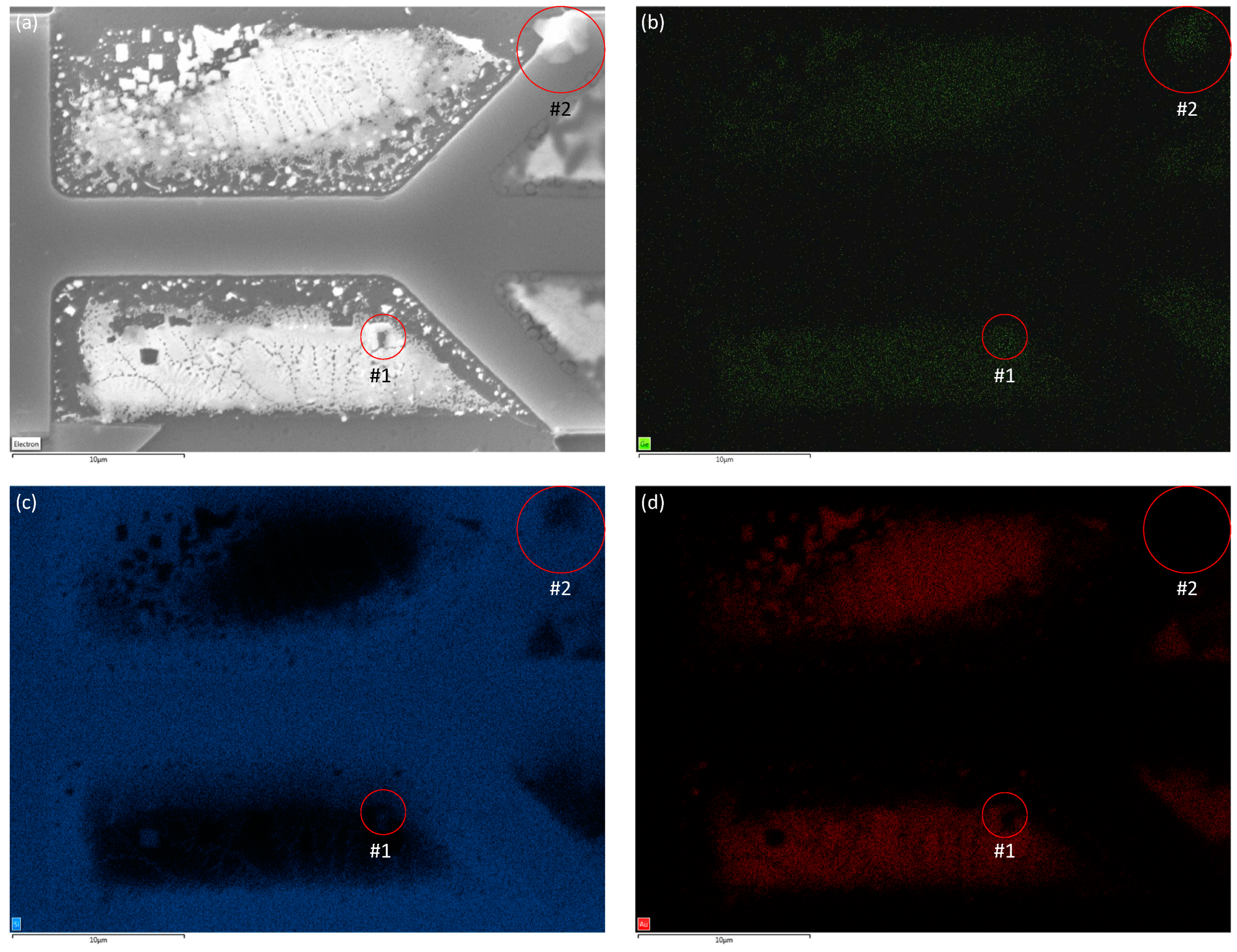Nanomaterials 13 00894 g010