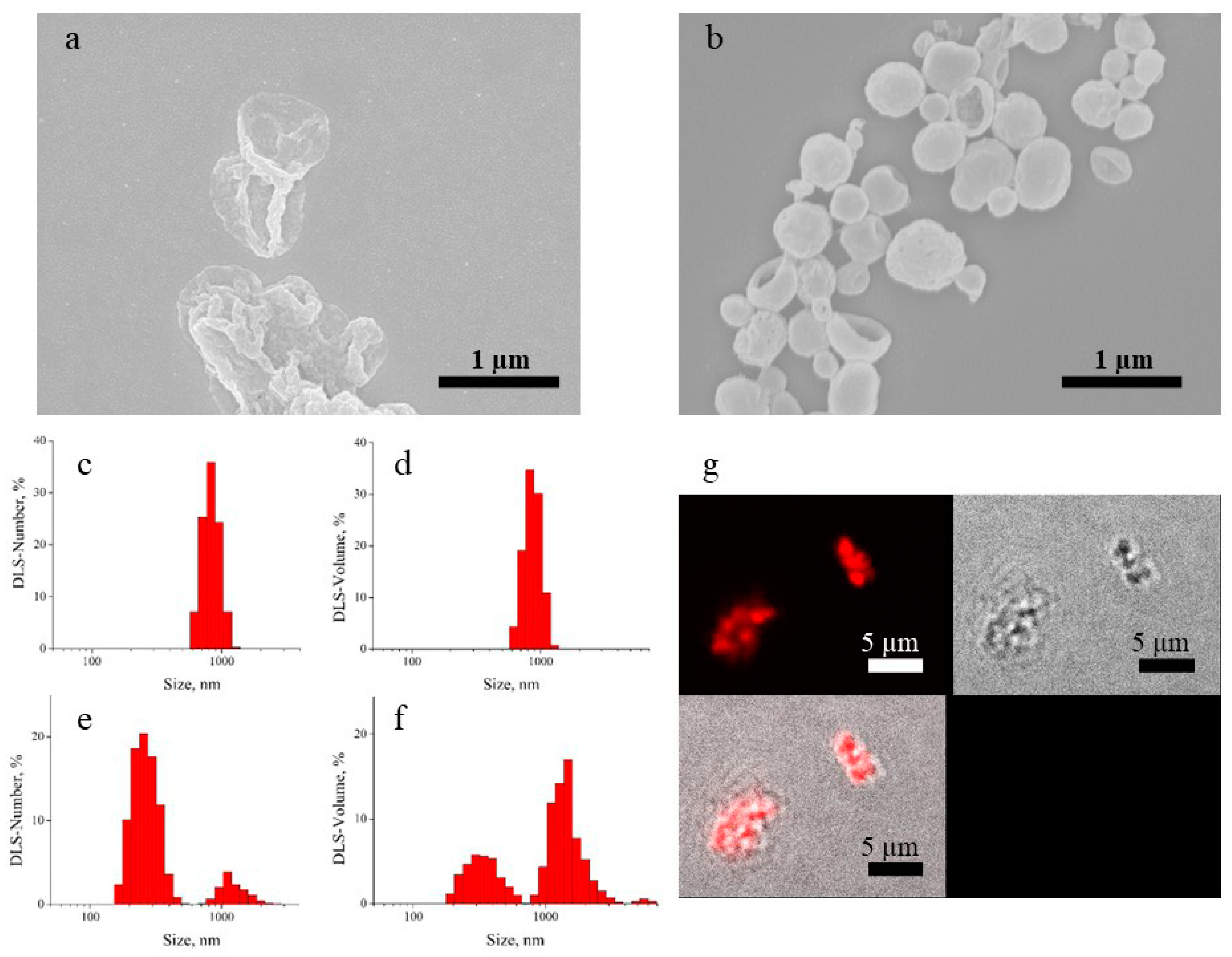 Nanomaterials 13 00902 g001
