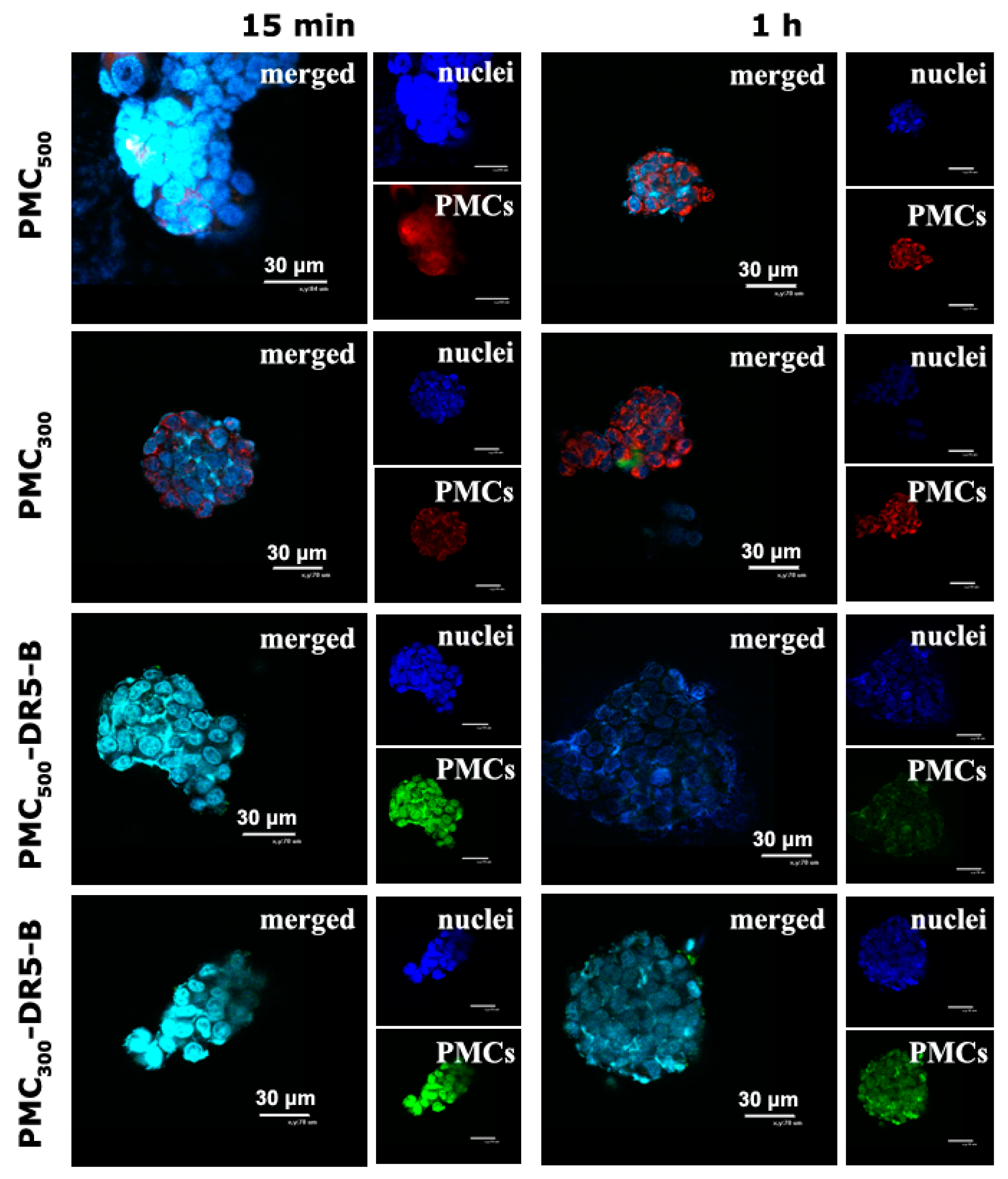 Nanomaterials 13 00902 g005