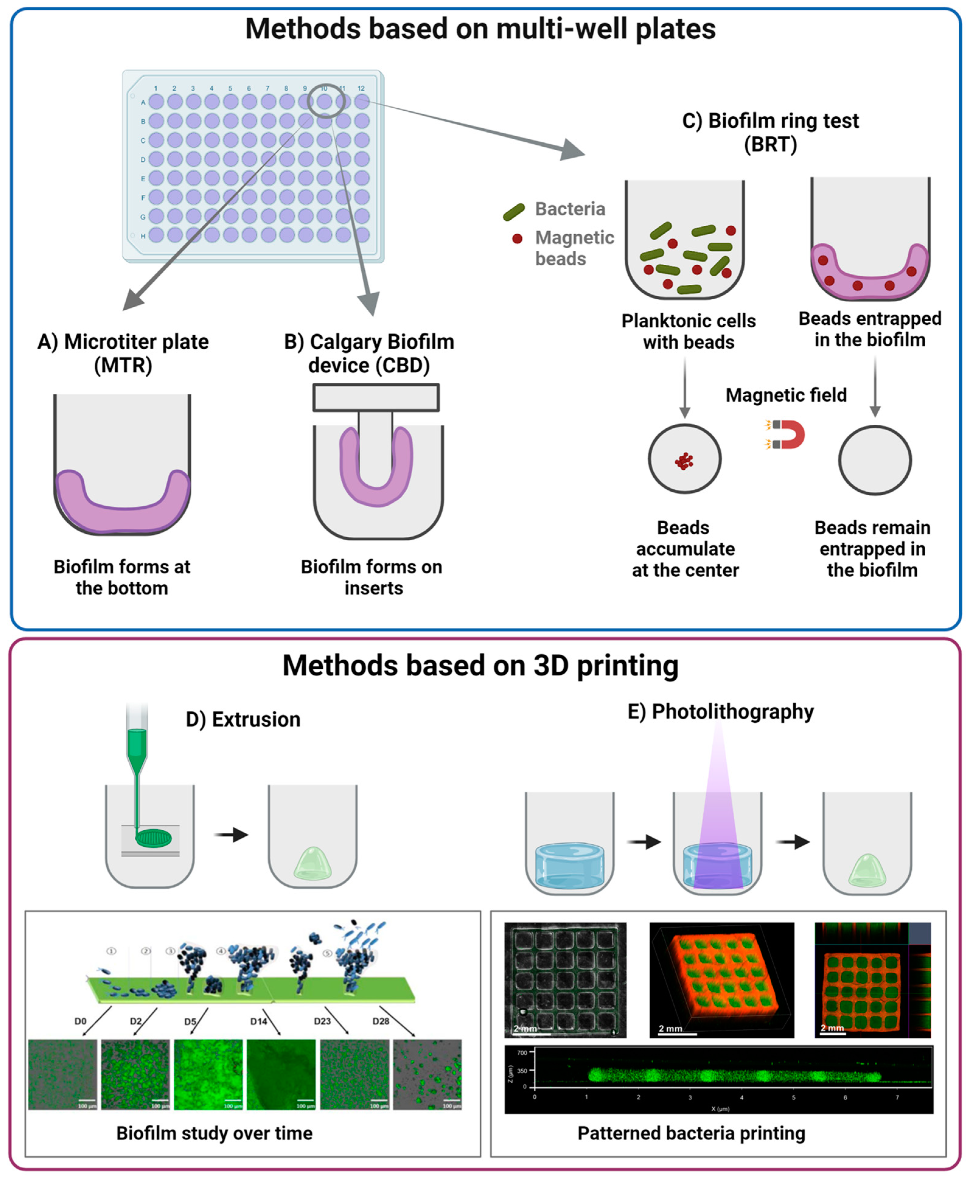 Nanomaterials 13 00904 g002 Nanomaterials 13 00904 g002