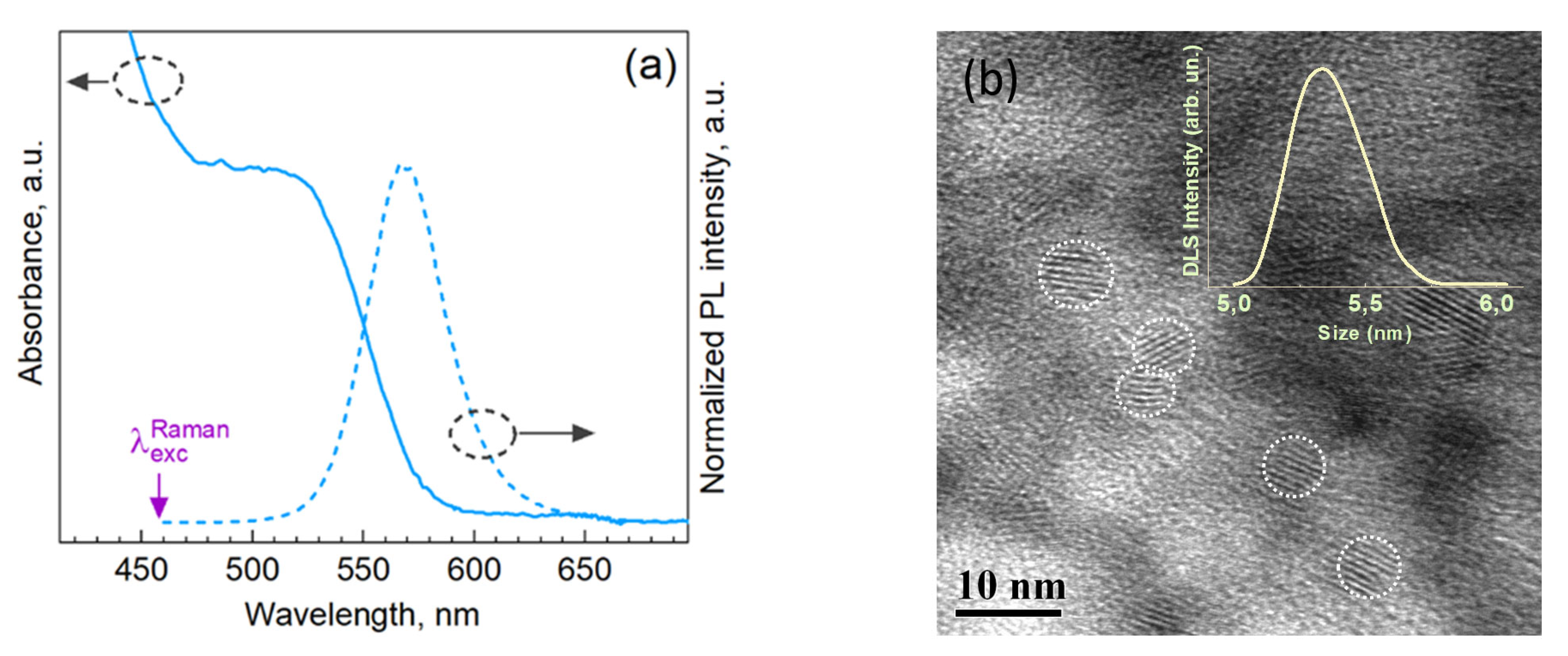 Nanomaterials 13 00921 g001