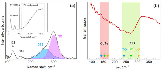 Core and Shell Contributions to the Phonon Spectra of CdTe/CdS Quantum Dots