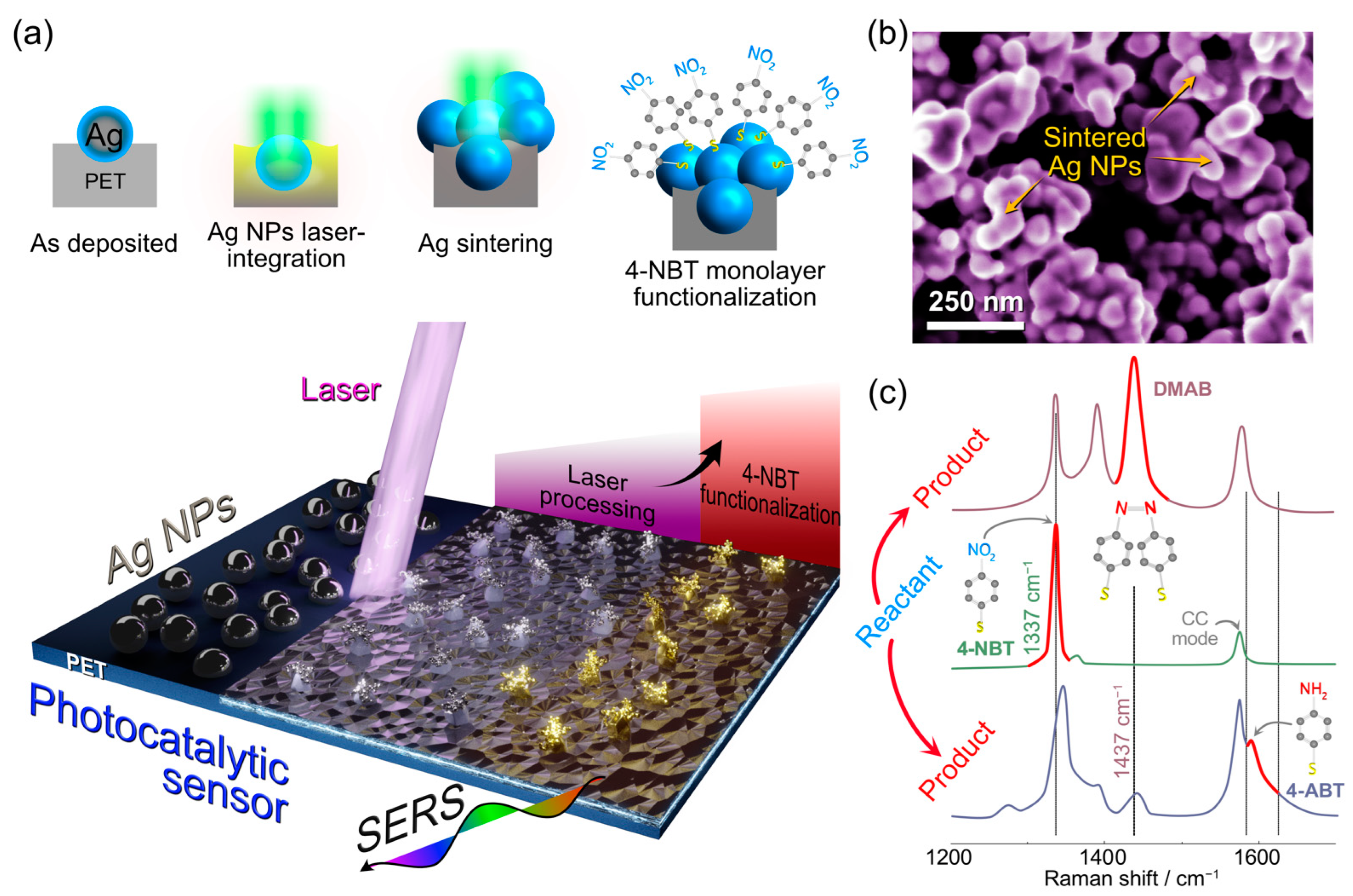 Nanomaterials 13 00923 g001