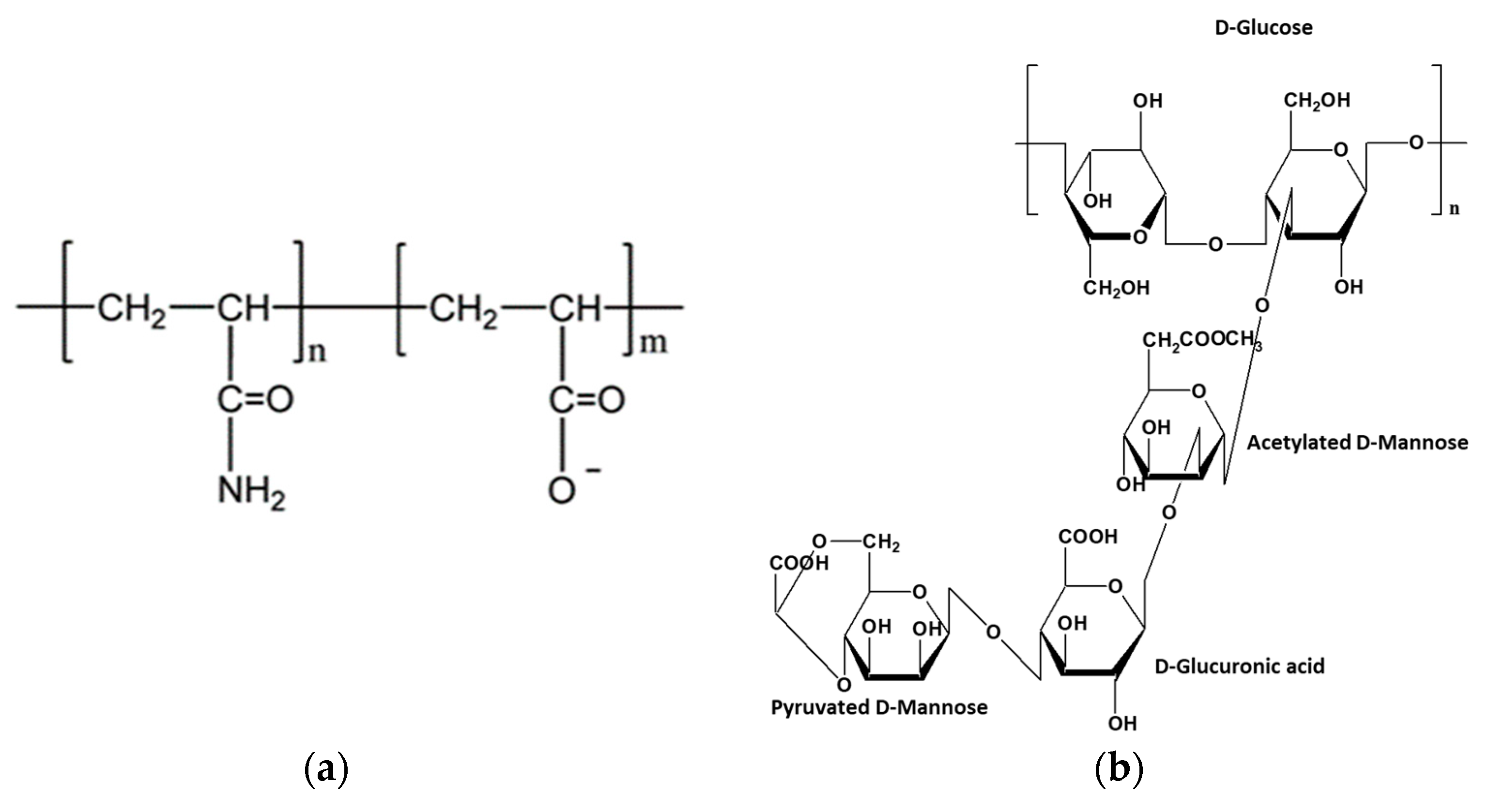 Nanomaterials 13 00925 g001