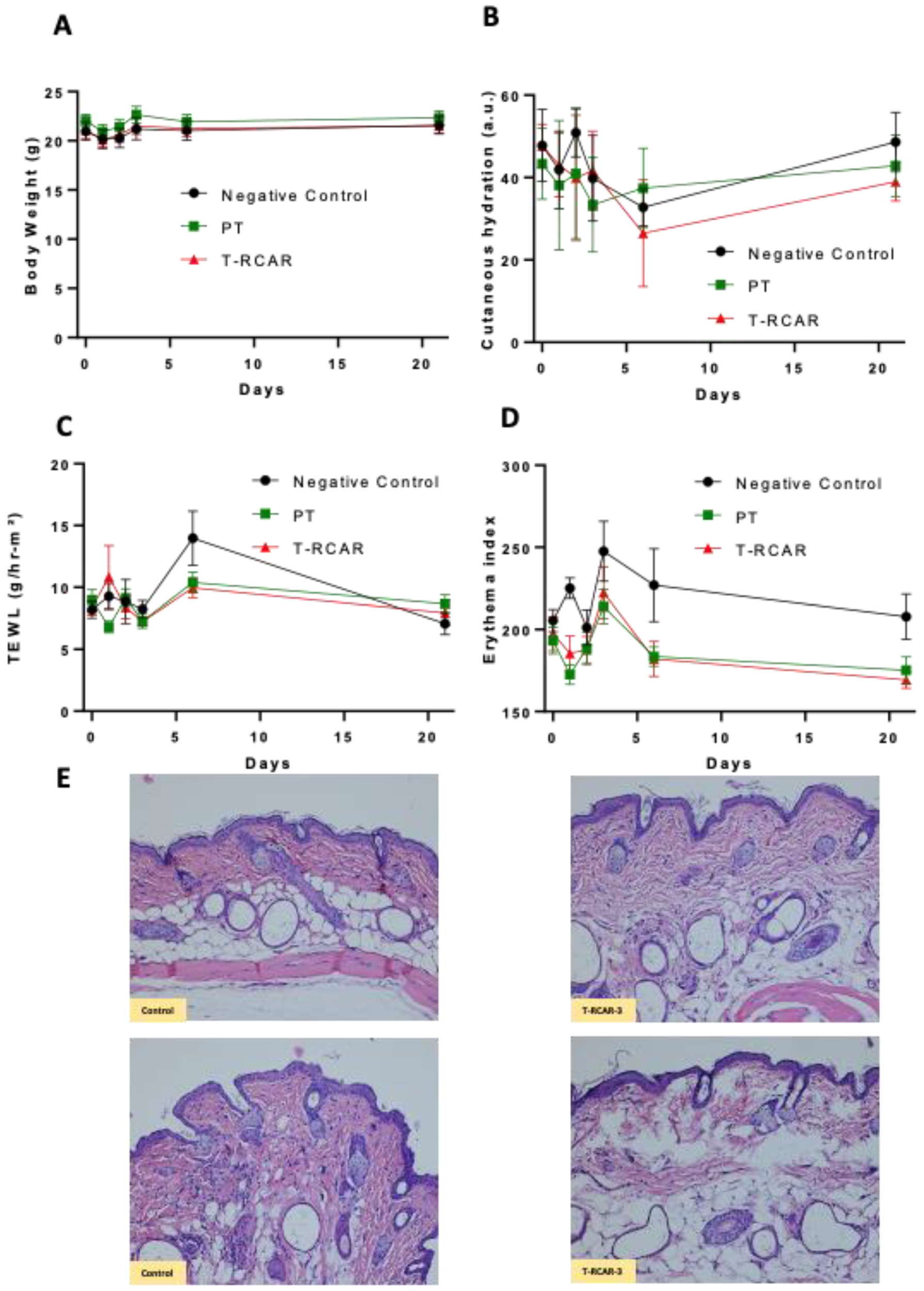 Nanomaterials 13 00929 g006