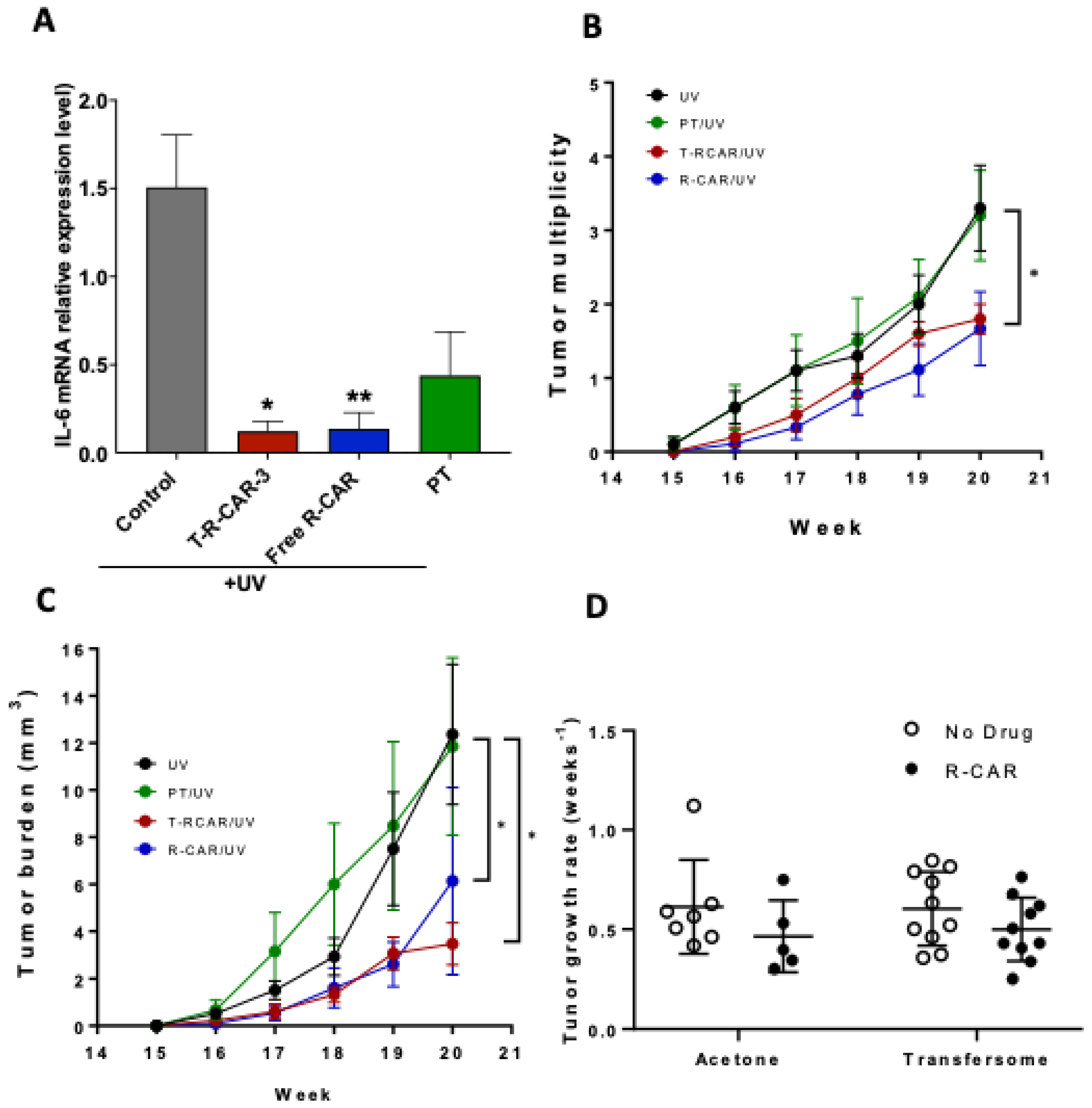 Nanomaterials 13 00929 g007