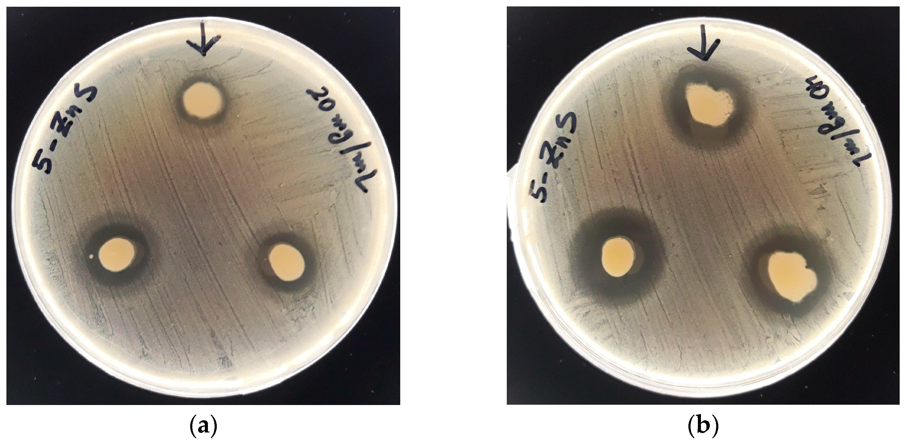 Nanomaterials 13 00935 g008 Nanomaterials 13 00935 g008