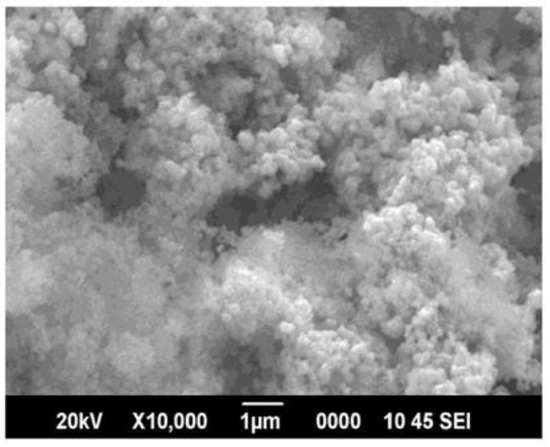 Nanomaterials 13 00937 g002 550