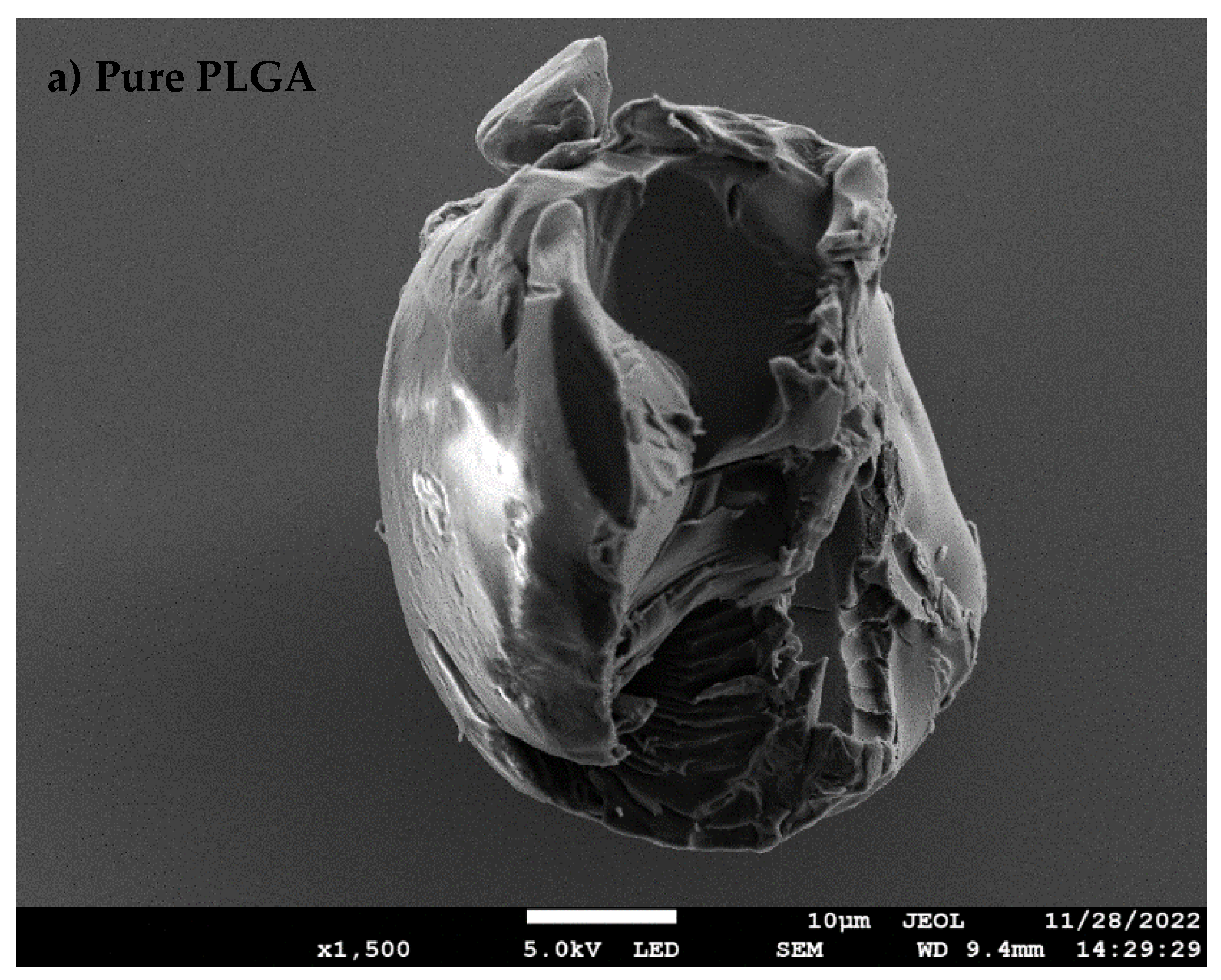 Nanomaterials 13 00943 g003a