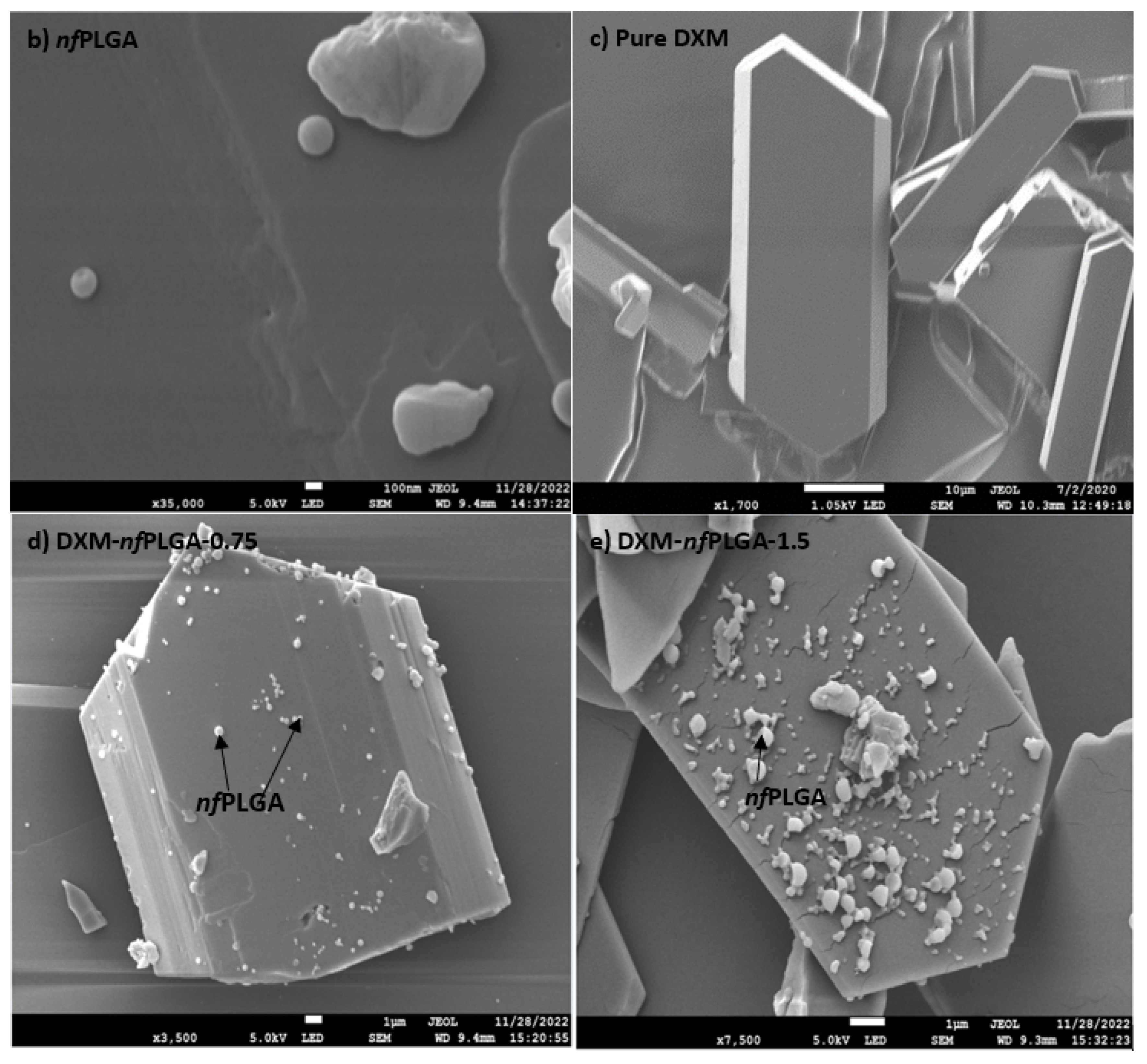 Nanomaterials 13 00943 g003b