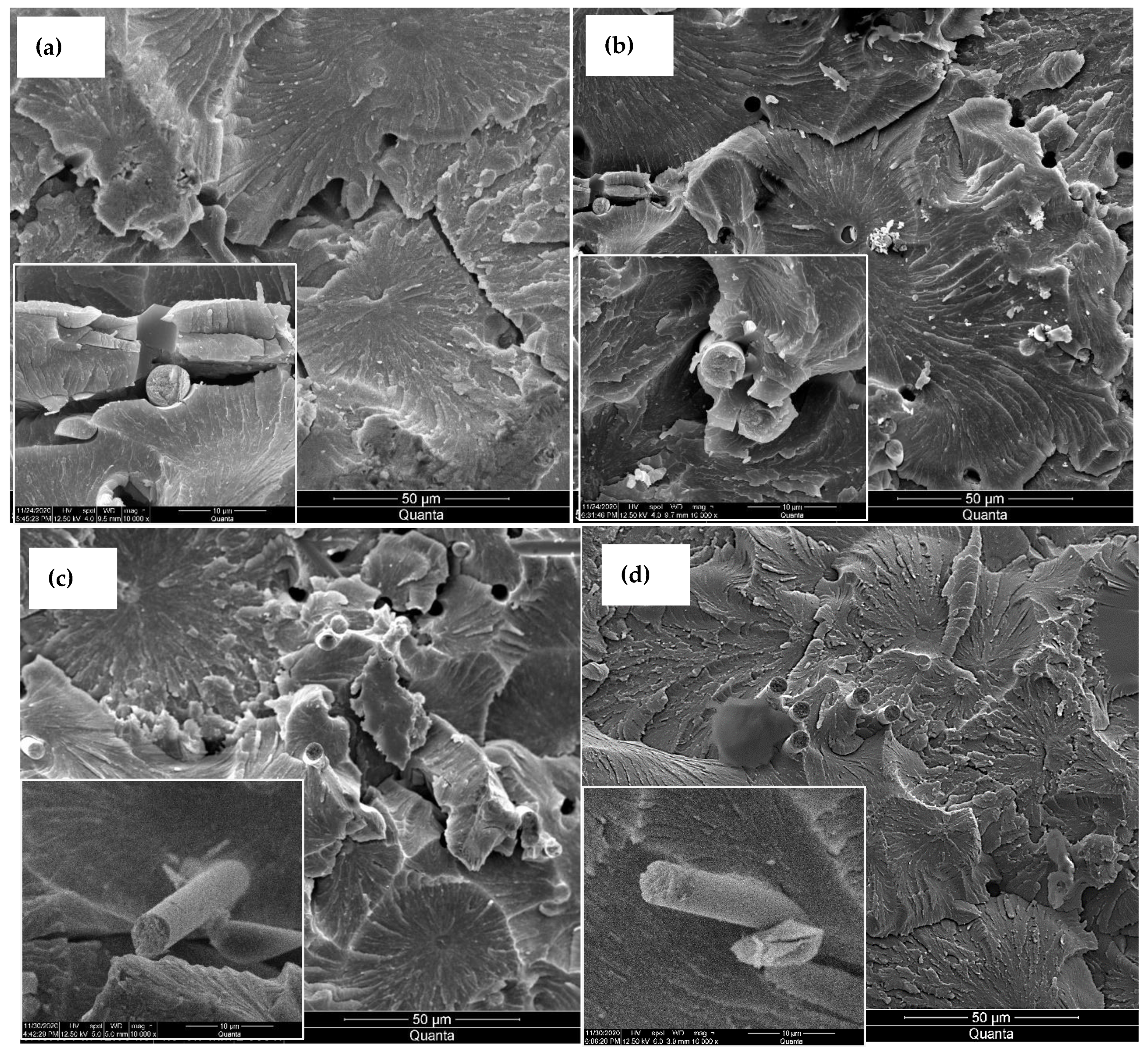 Nanomaterials 13 00944 g007