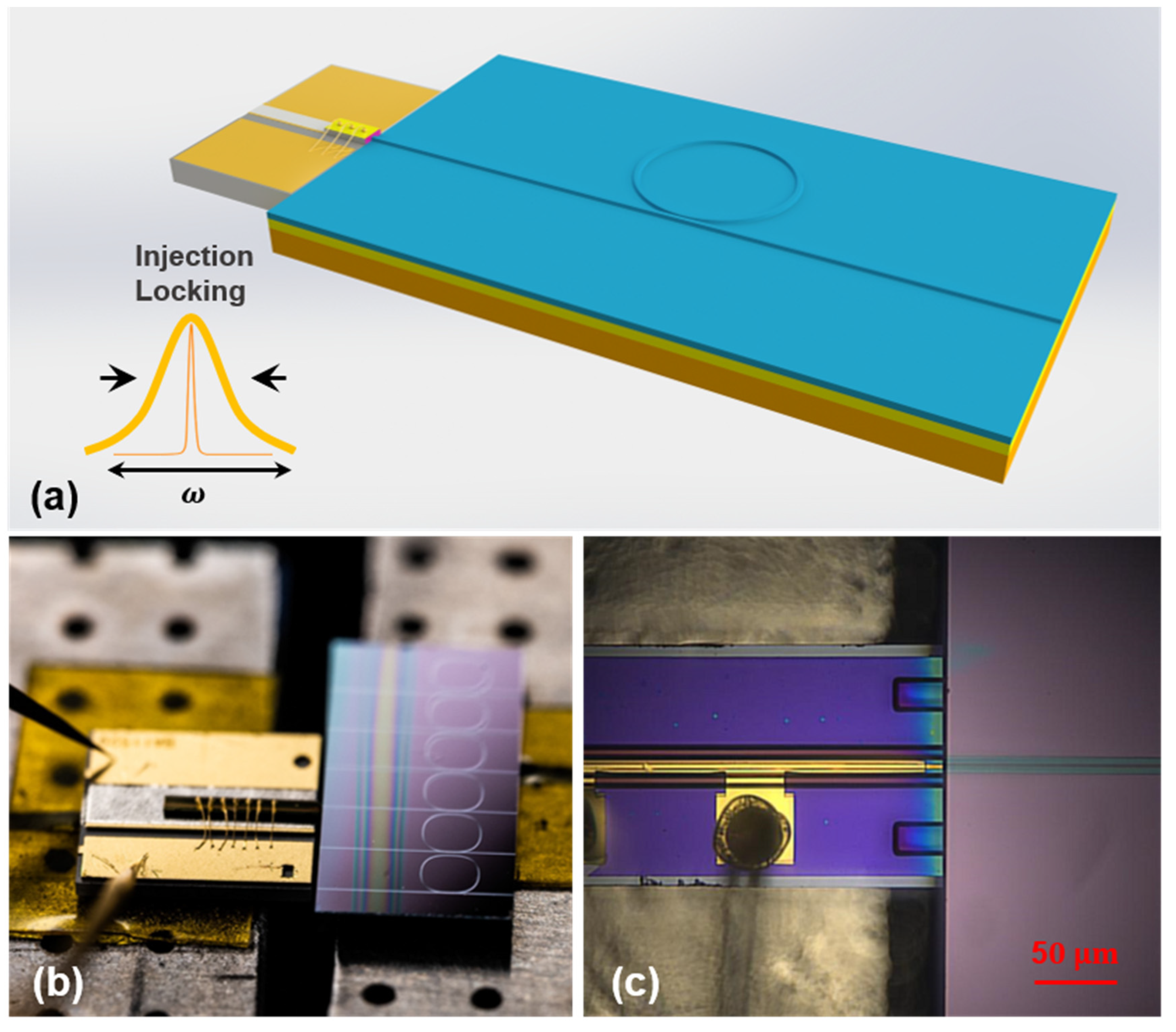 Nanomaterials 13 00948 g004 Nanomaterials 13 00948 g004
