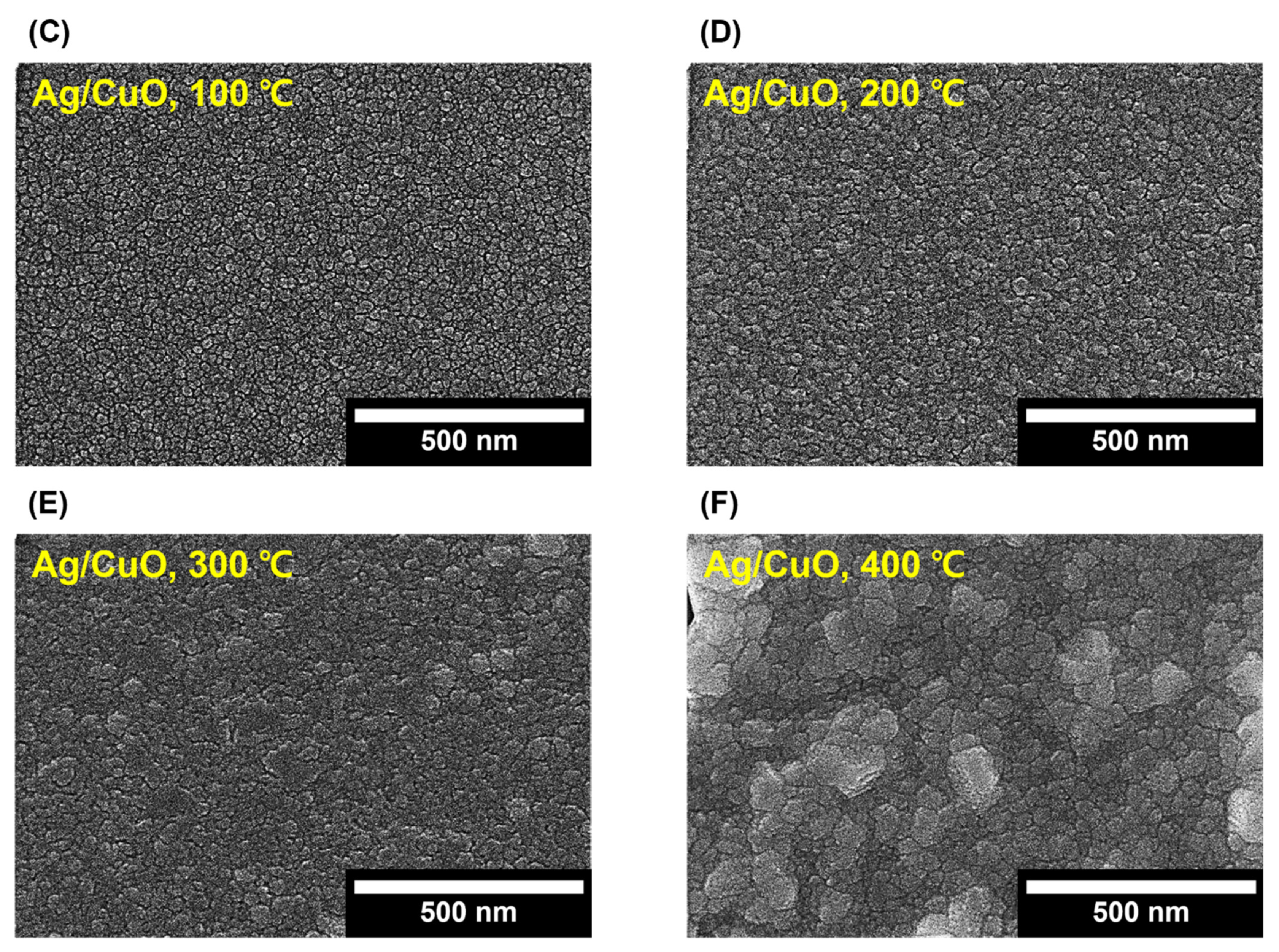 Nanomaterials 13 00954 g004b