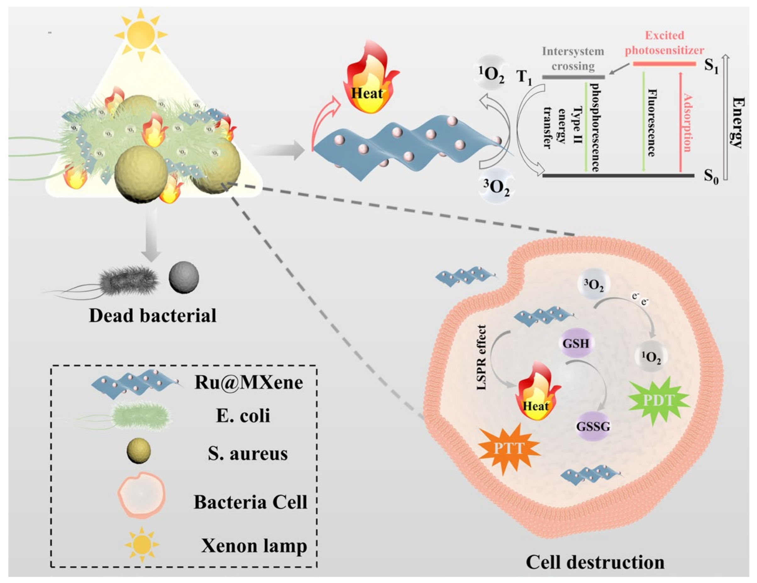 Nanomaterials 13 00958 g002 Nanomaterials 13 00958 g002