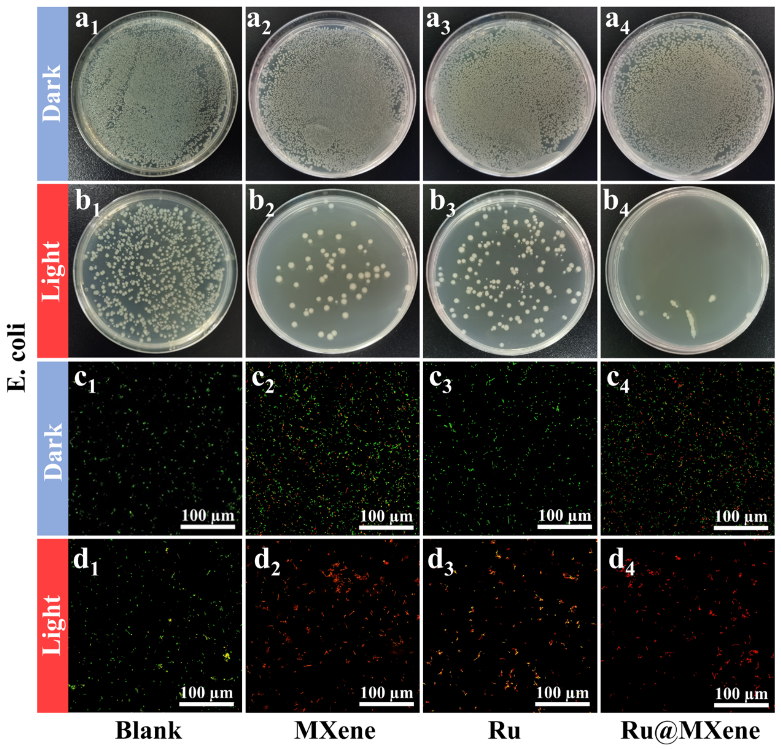 Nanomaterials 13 00958 g007 Nanomaterials 13 00958 g007