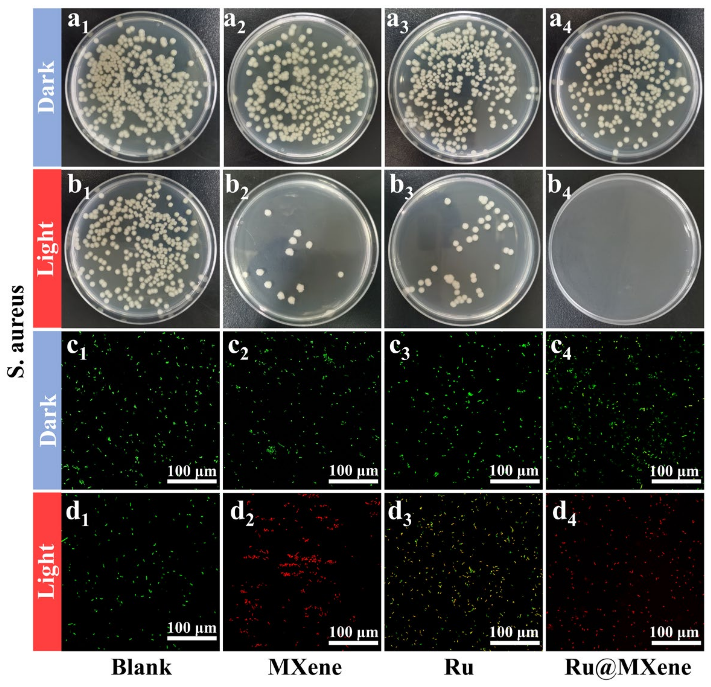 Nanomaterials 13 00958 g008 Nanomaterials 13 00958 g008