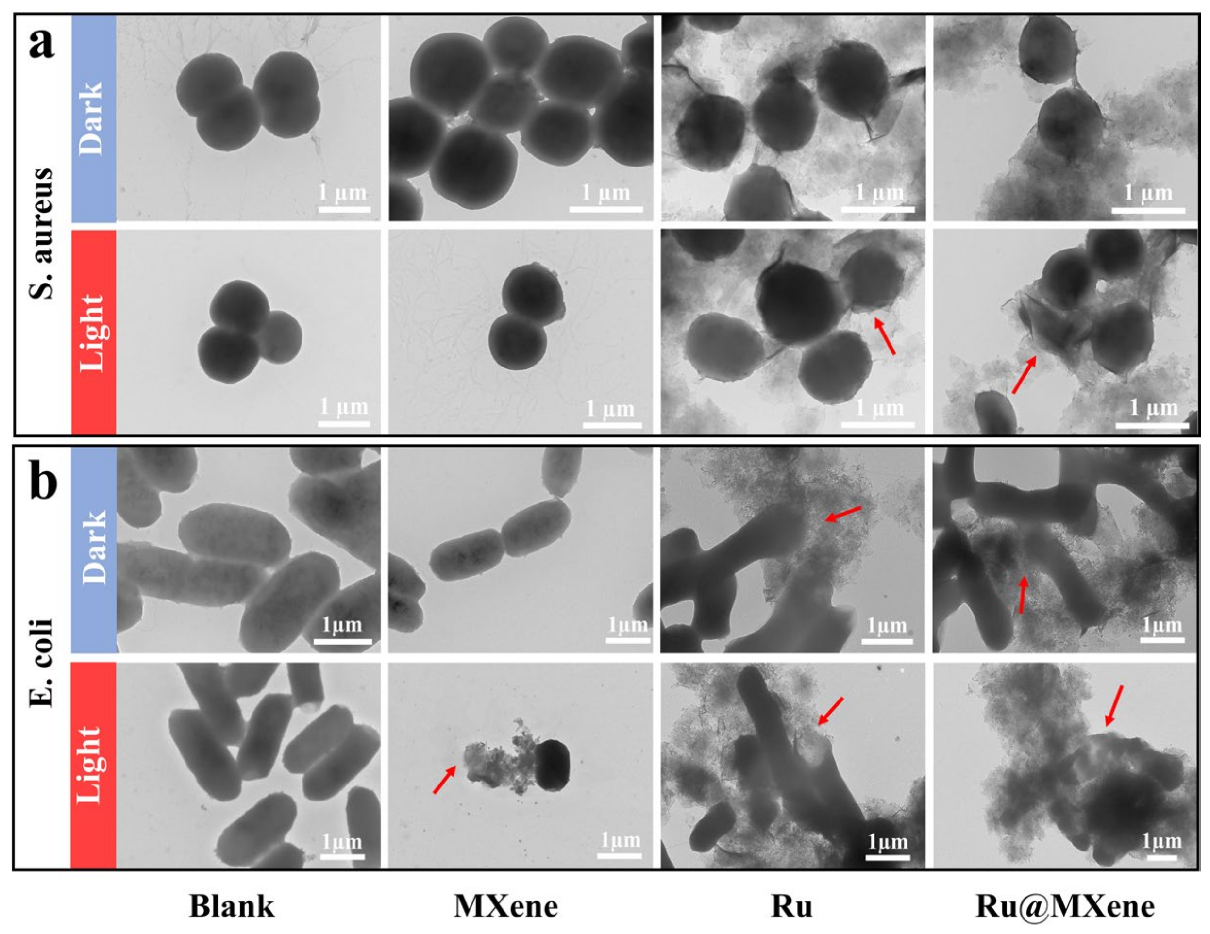 Nanomaterials 13 00958 g009 Nanomaterials 13 00958 g009