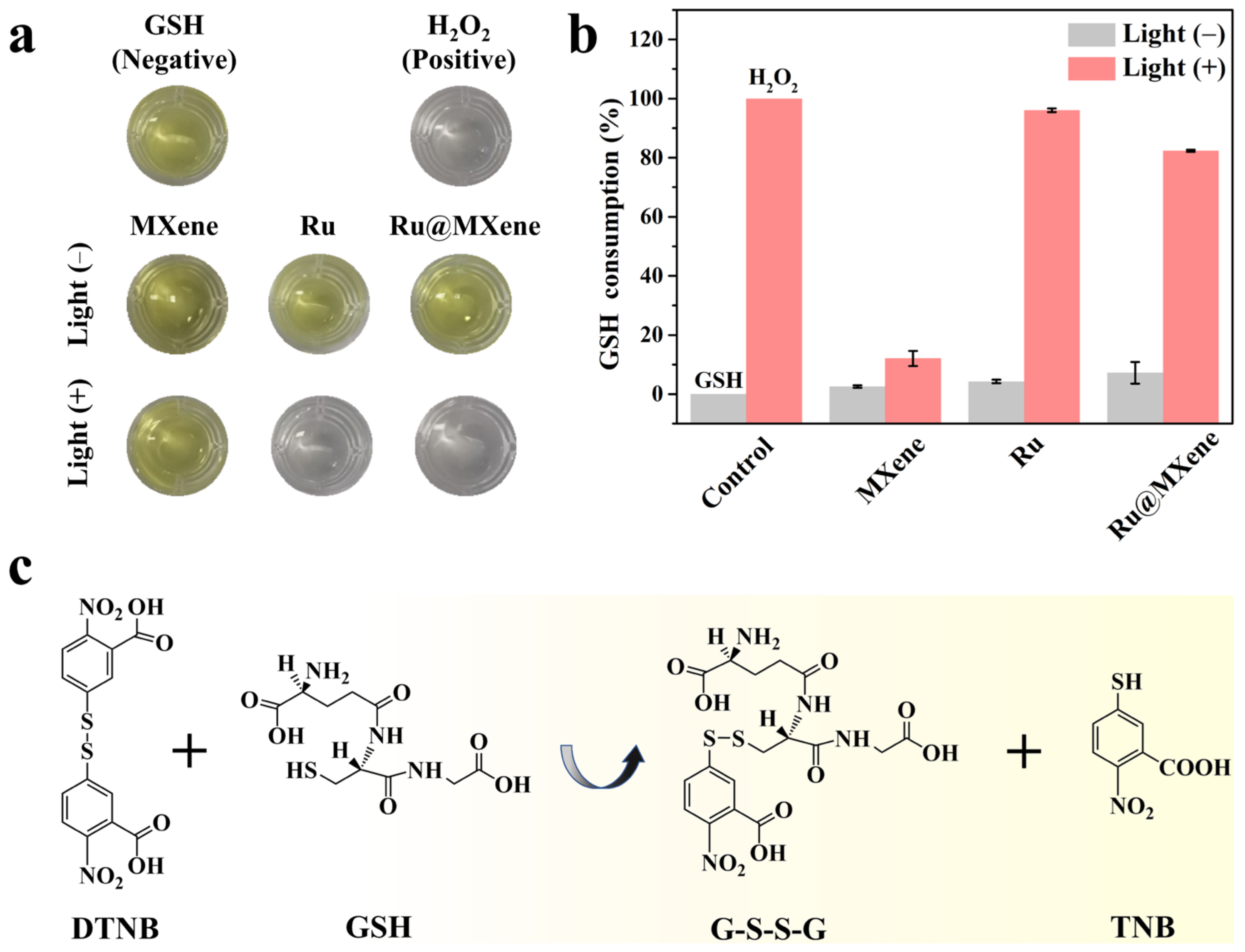 Nanomaterials 13 00958 g011 Nanomaterials 13 00958 g011