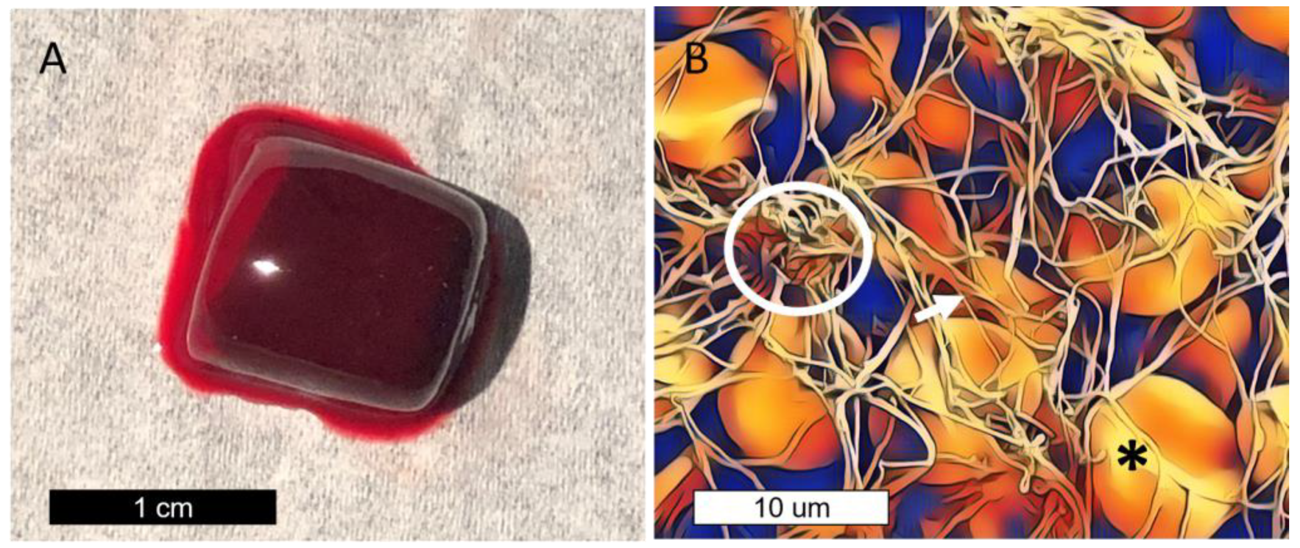 Nanomaterials 13 00961 g001 Nanomaterials 13 00961 g001