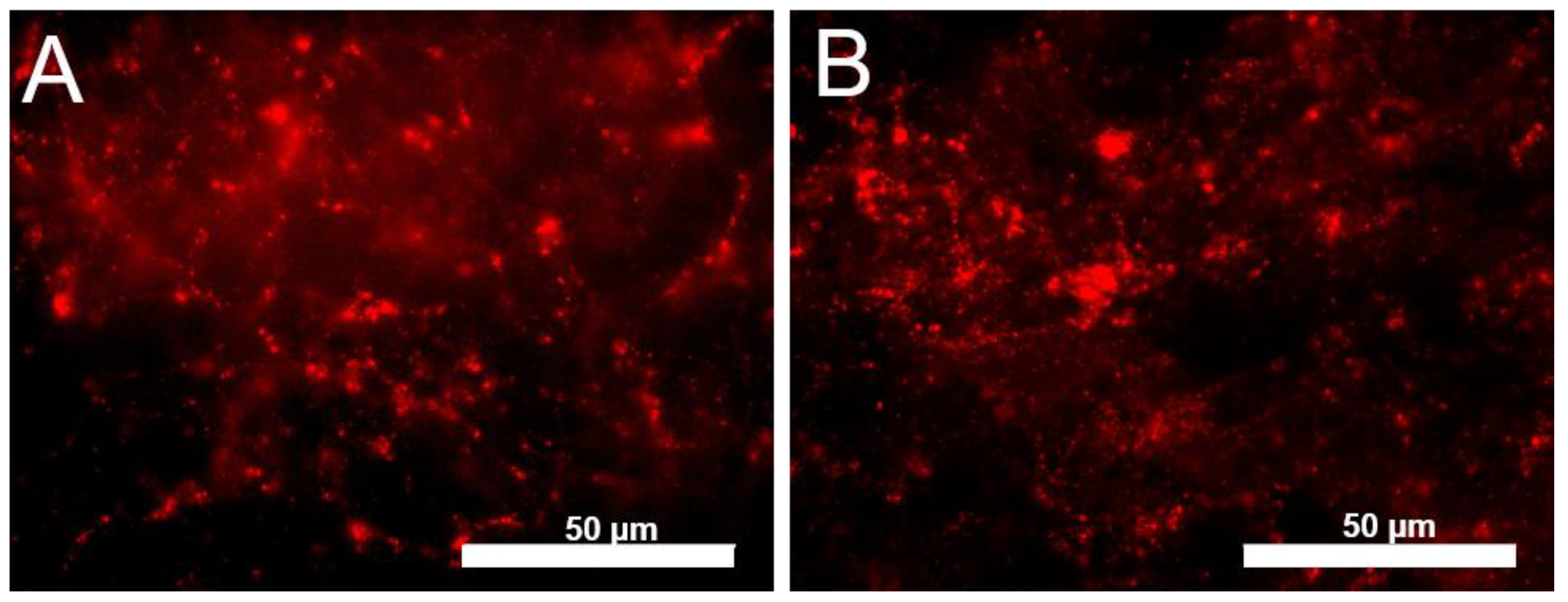 Nanomaterials 13 00961 g003 Nanomaterials 13 00961 g003