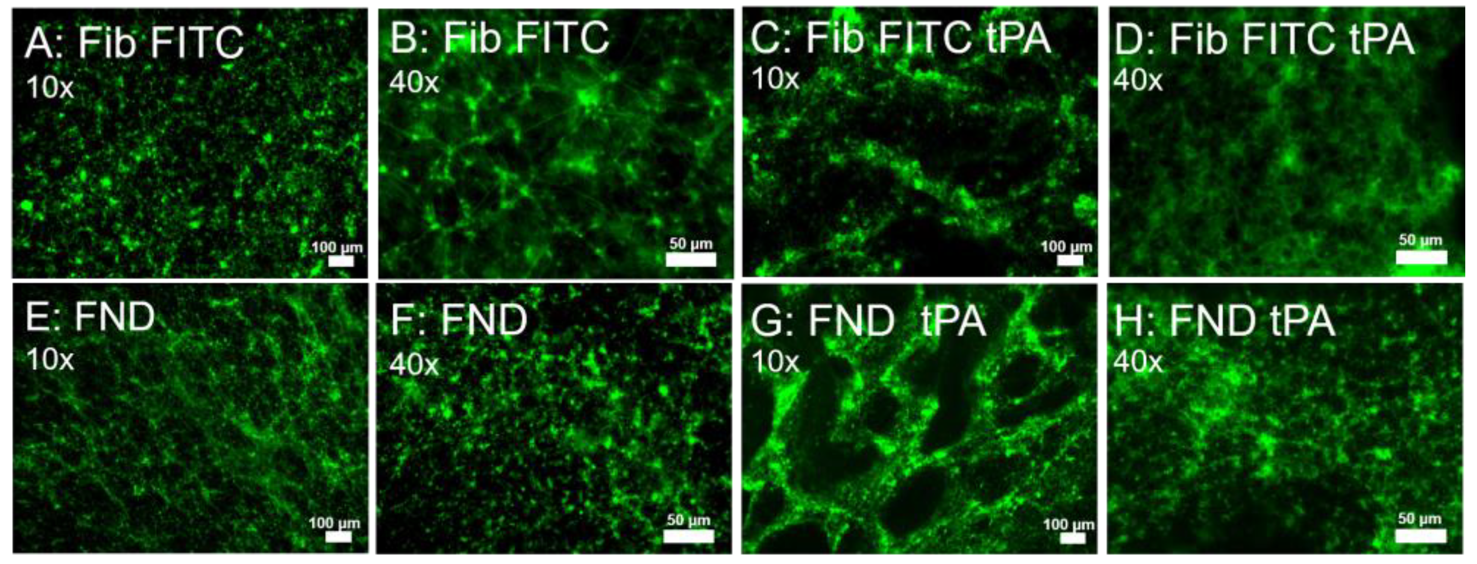 Nanomaterials 13 00961 g004 Nanomaterials 13 00961 g004