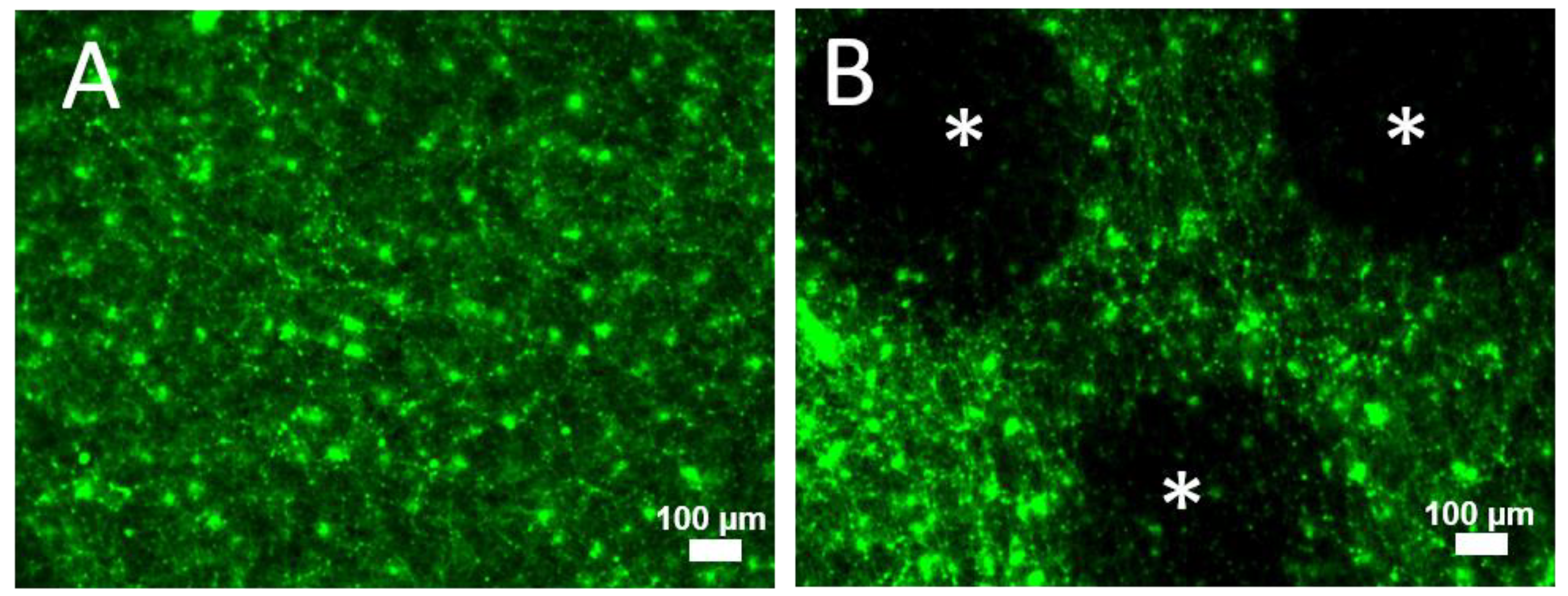 Nanomaterials 13 00961 g005 Nanomaterials 13 00961 g005