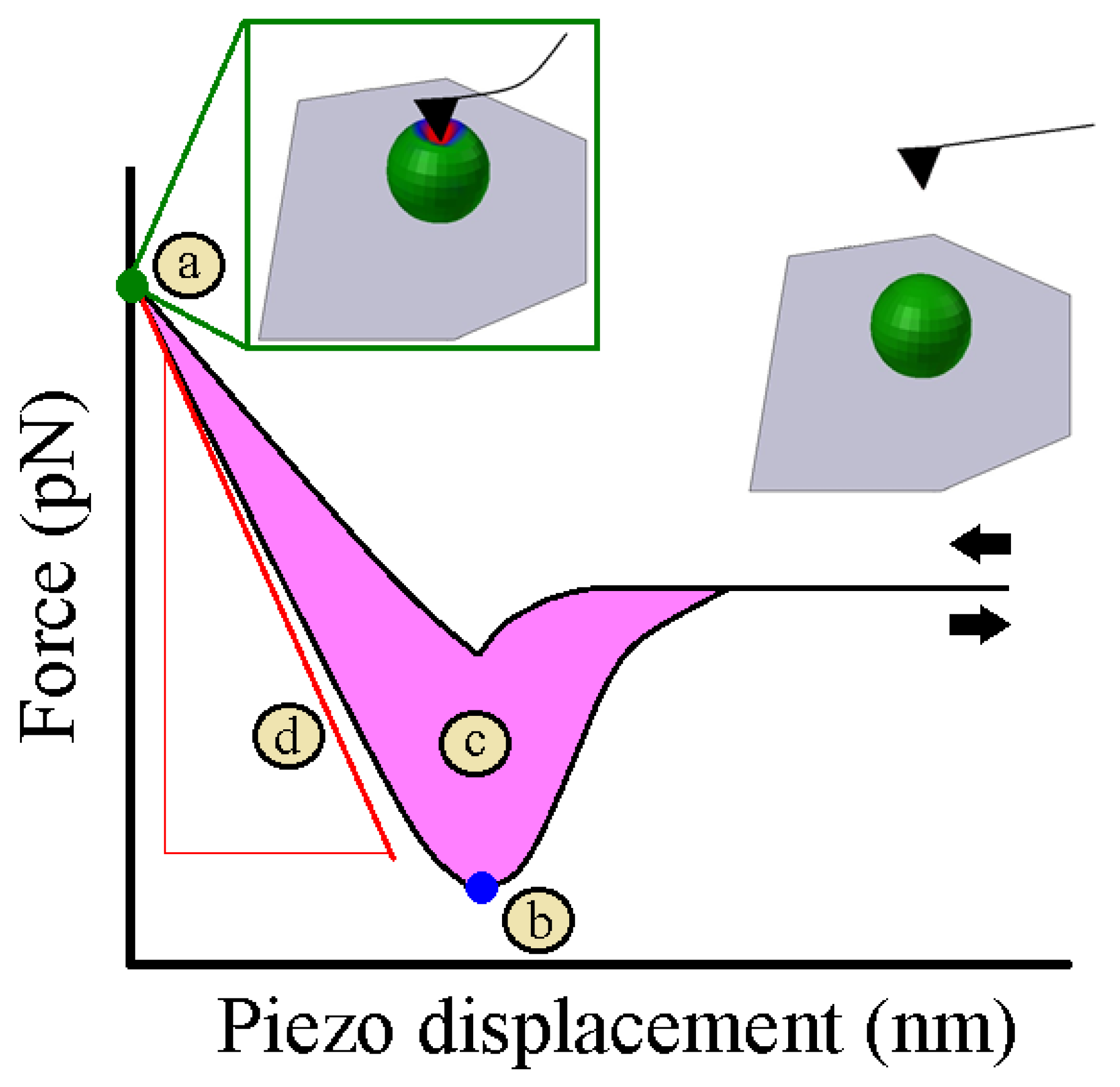 Nanomaterials 13 00963 g004