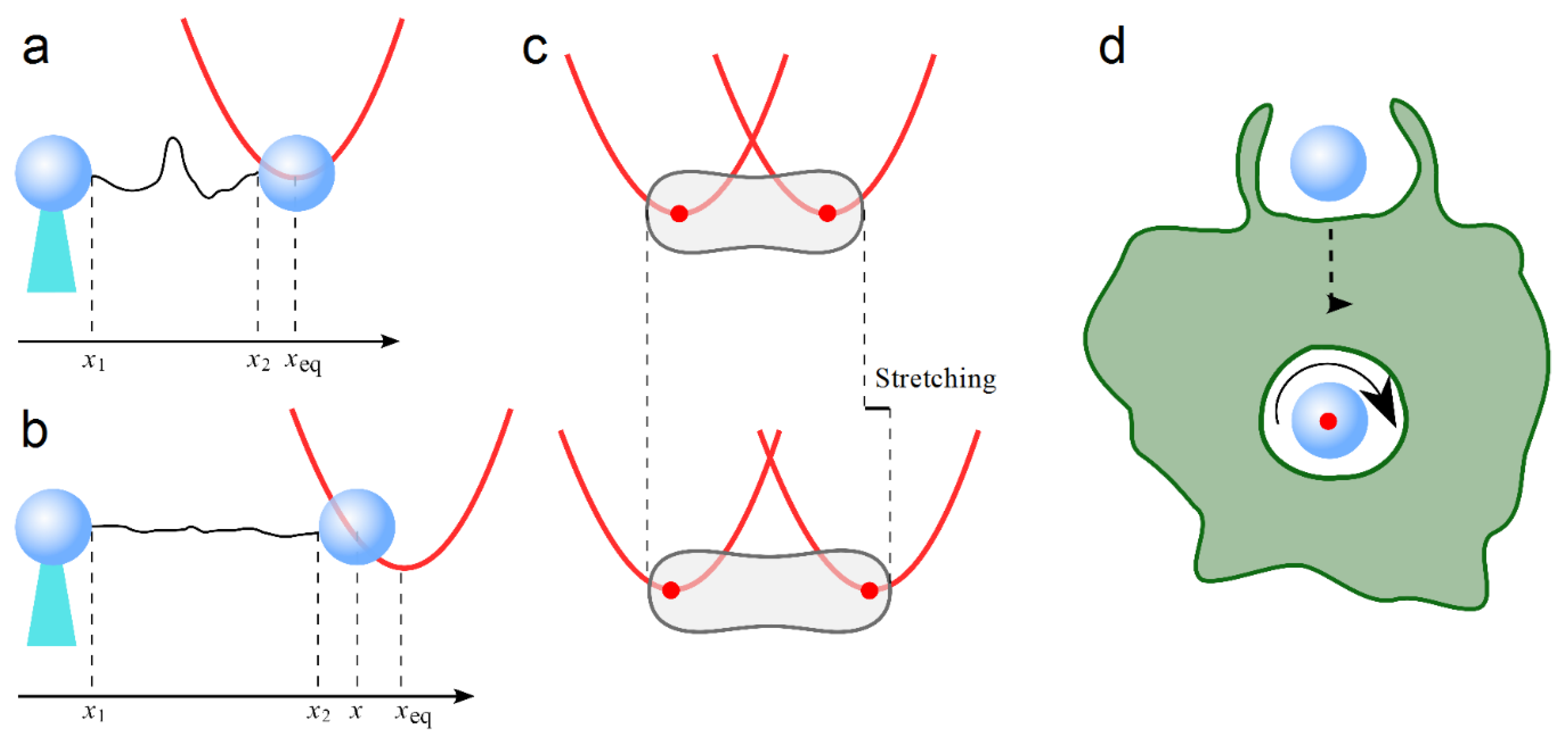 Nanomaterials 13 00963 g007