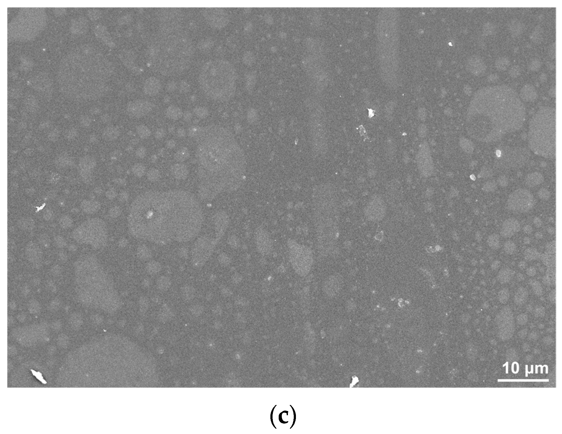 Nanomaterials 13 00964 g001b Nanomaterials 13 00964 g001b