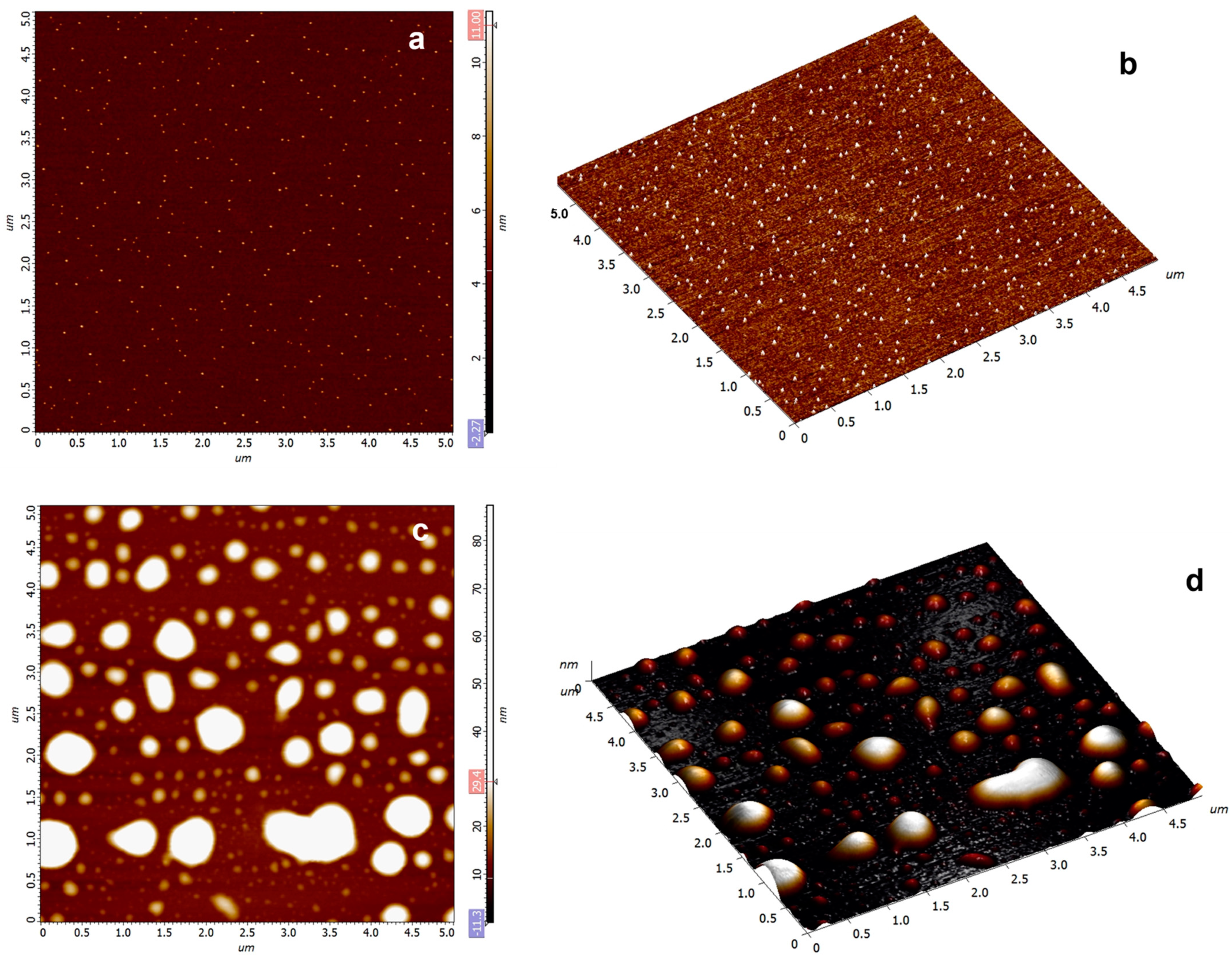 Nanomaterials 13 00964 g002 Nanomaterials 13 00964 g002