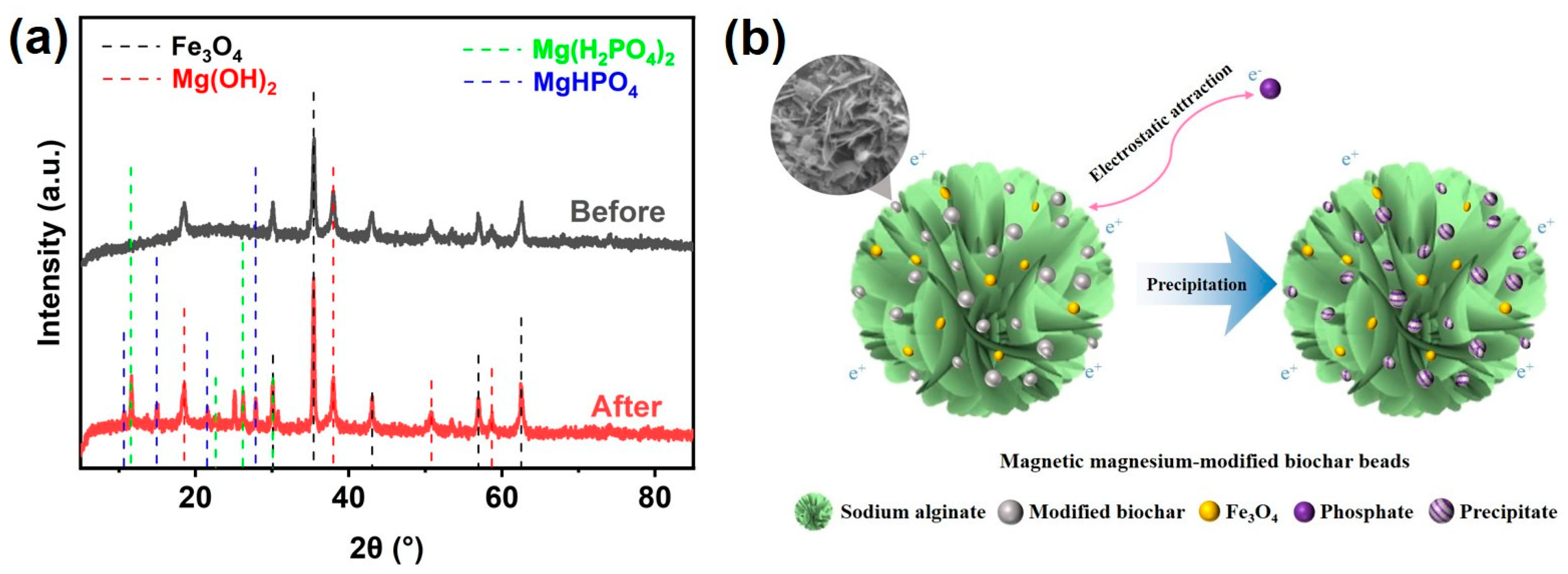 Nanomaterials 13 00966 g006