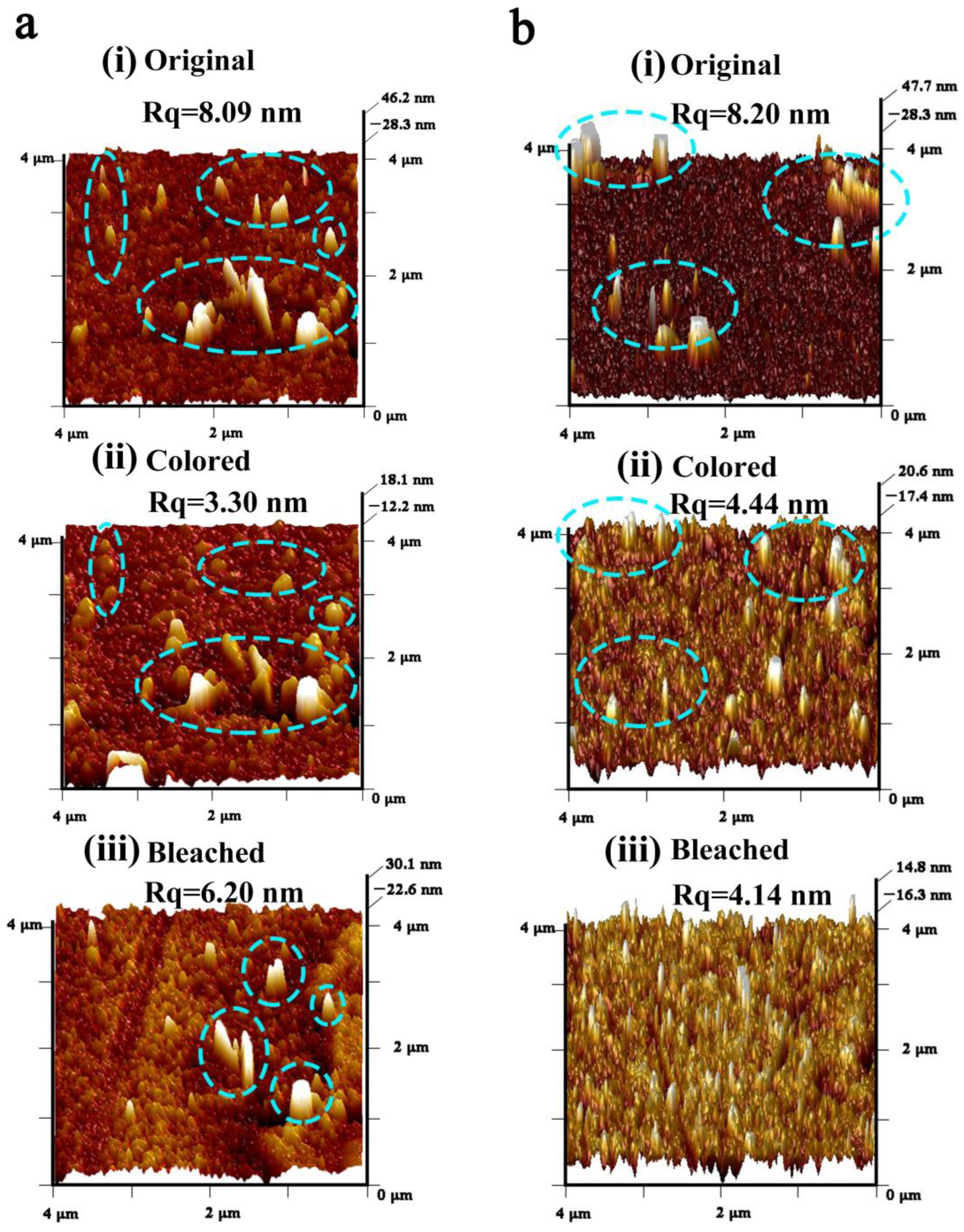 Nanomaterials 13 00973 g005 Nanomaterials 13 00973 g005
