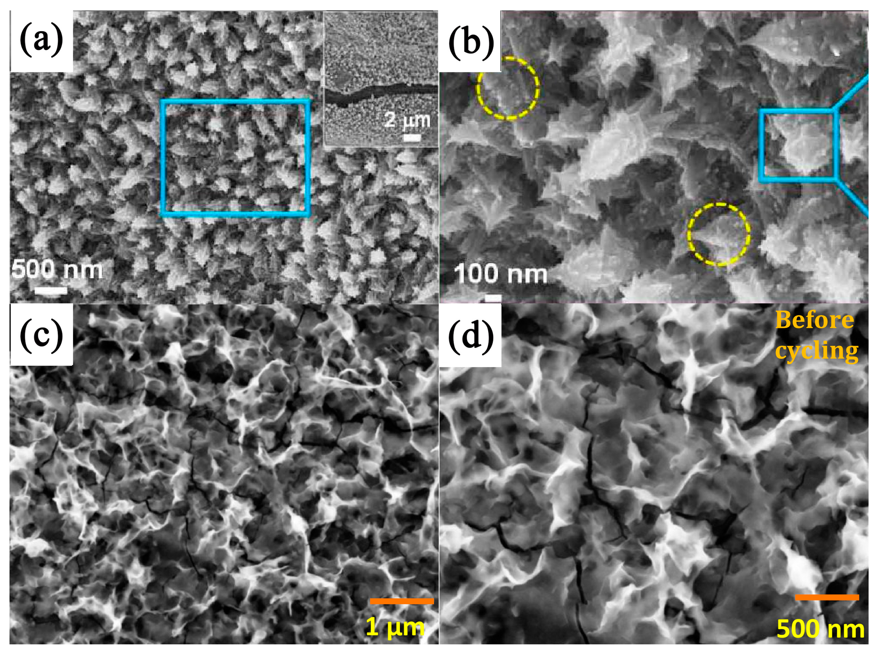 Nanomaterials 13 00979 g007