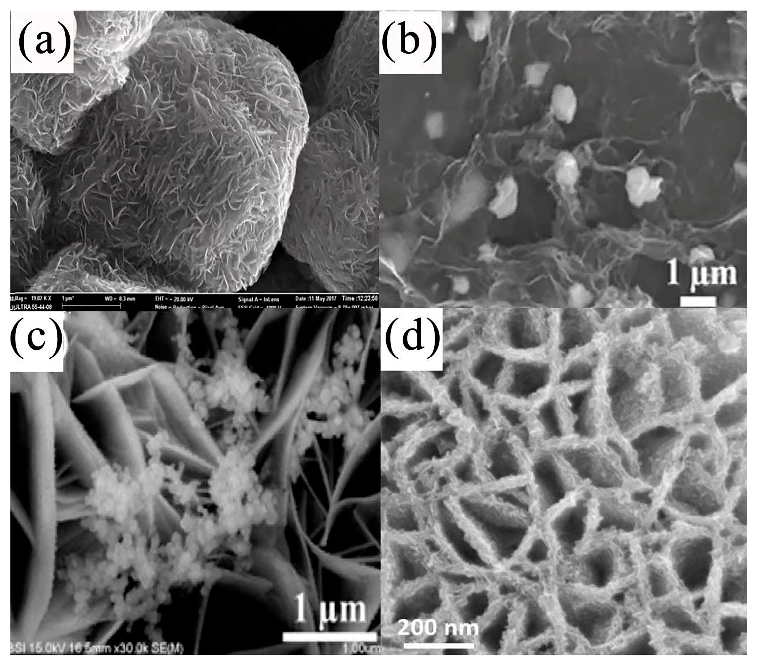 Nanomaterials 13 00979 g009