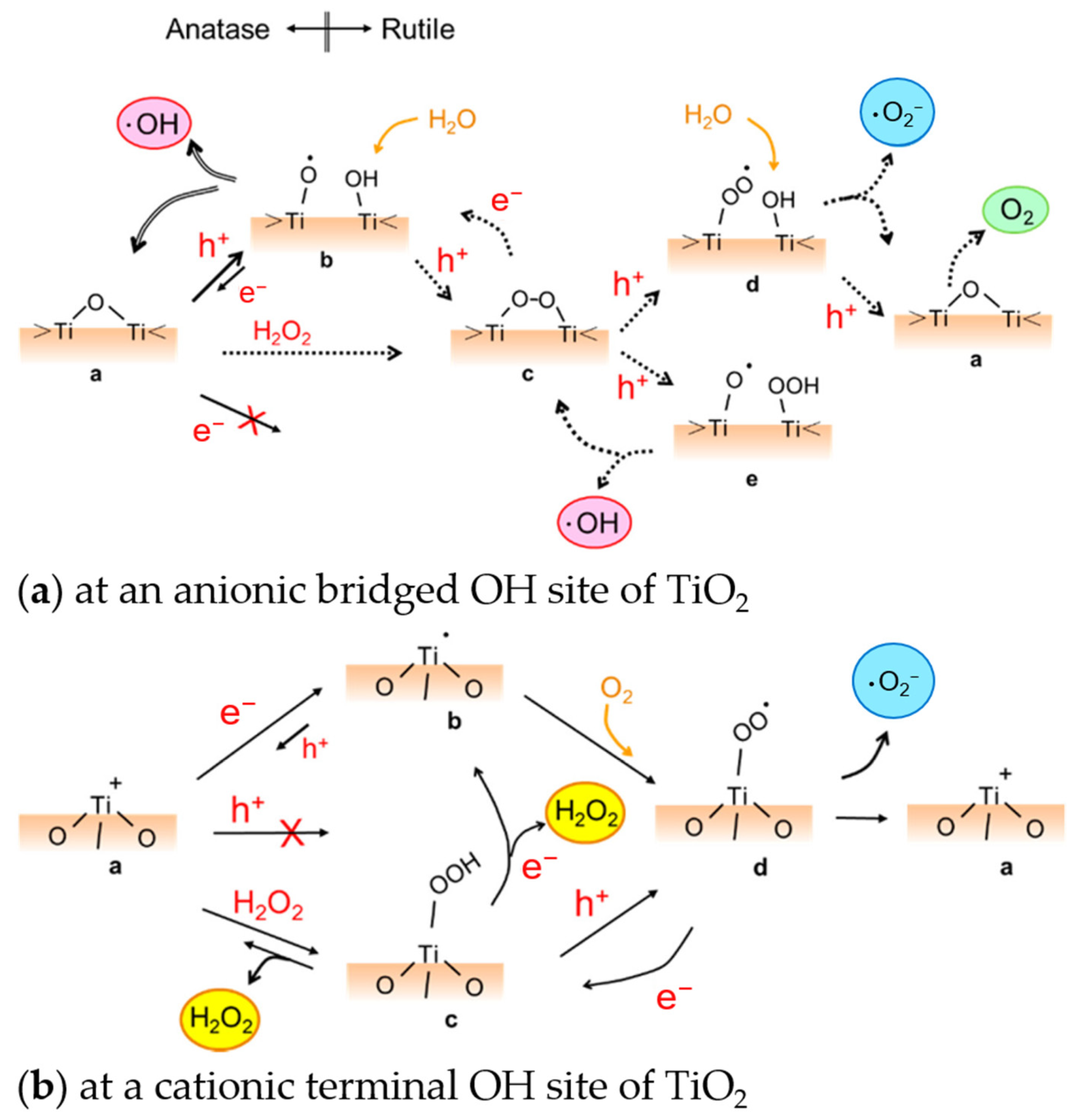 Nanomaterials 13 00982 g002 Nanomaterials 13 00982 g002