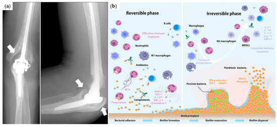 A Review on Nano Ti-Based Oxides for Dark and Photocatalysis