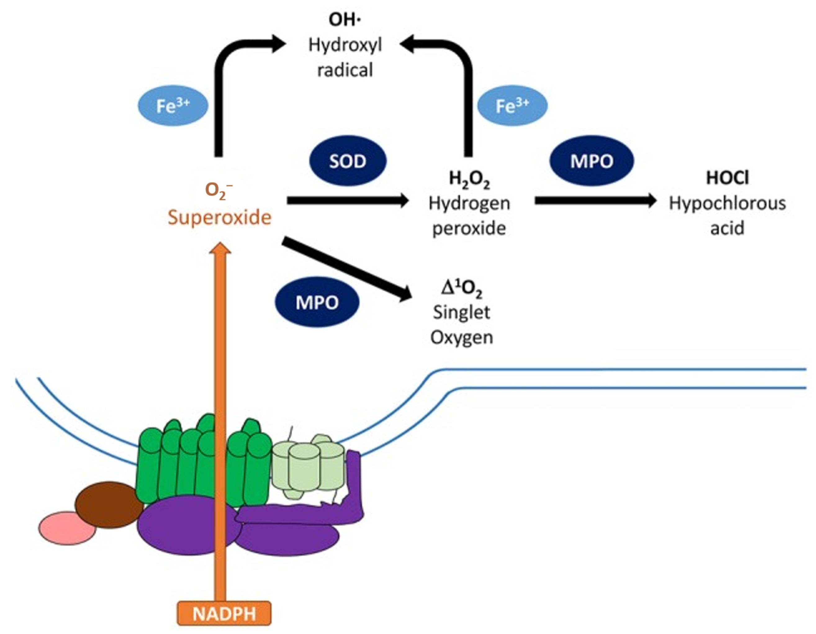 Nanomaterials 13 00982 g010 Nanomaterials 13 00982 g010