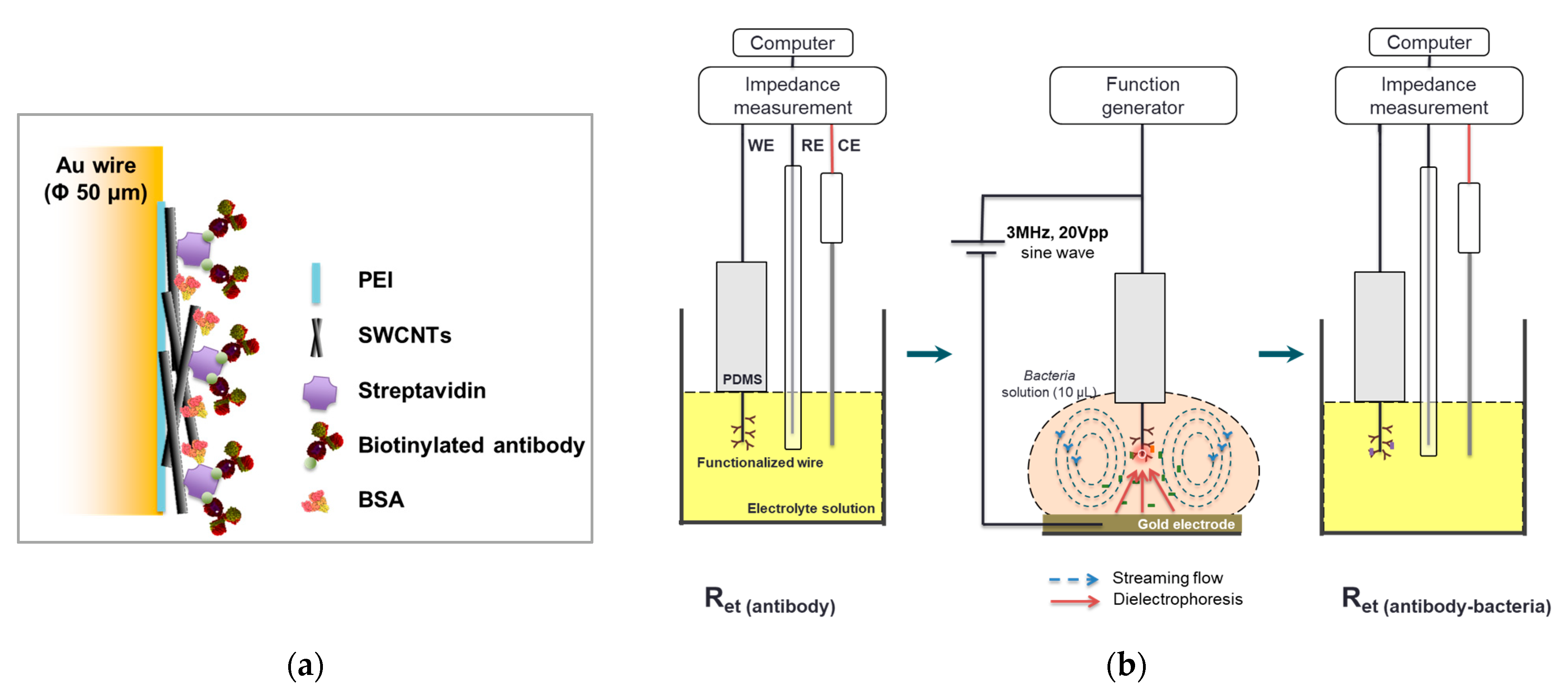 Nanomaterials 13 00985 g001 Nanomaterials 13 00985 g001