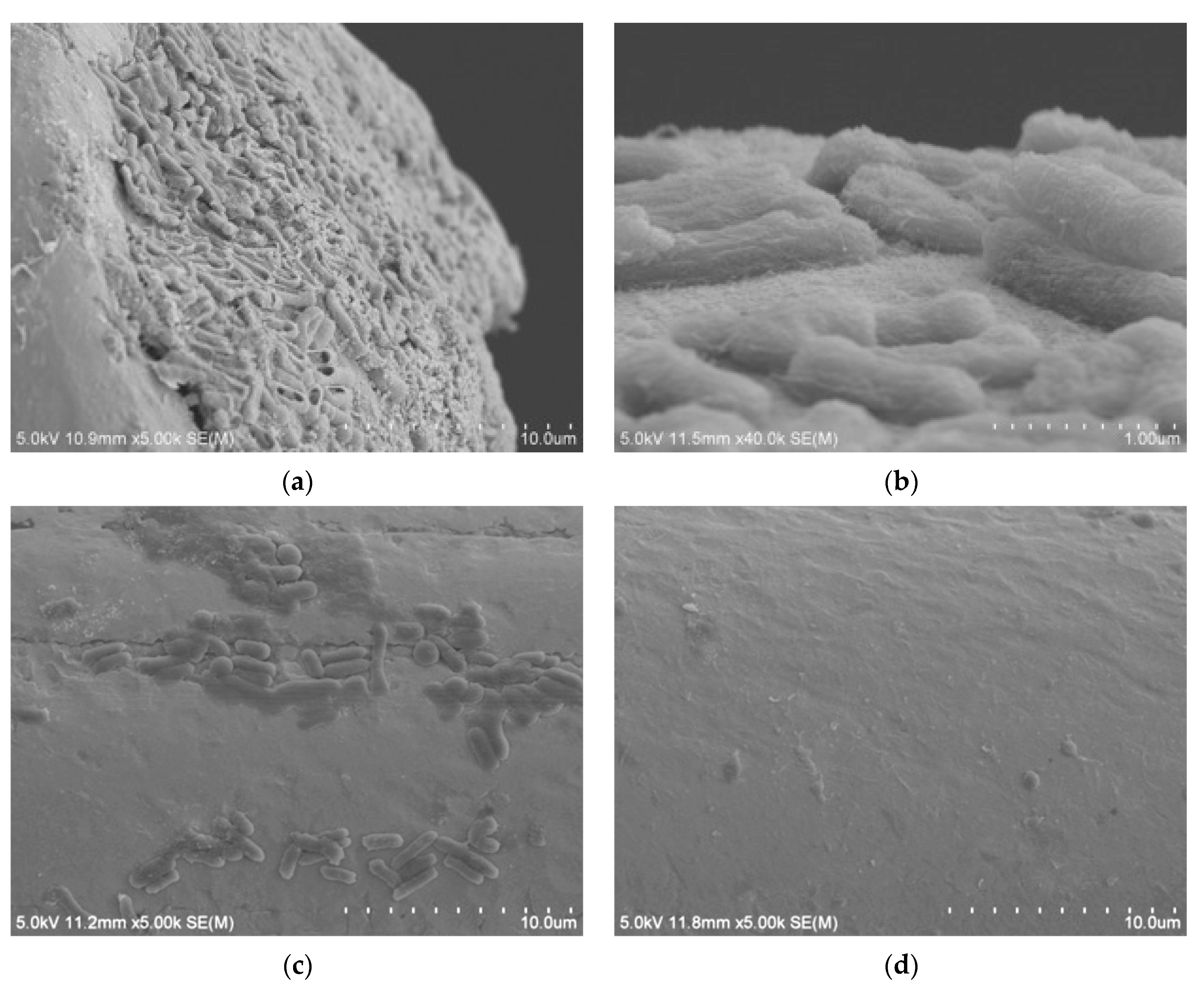 Nanomaterials 13 00985 g008 Nanomaterials 13 00985 g008