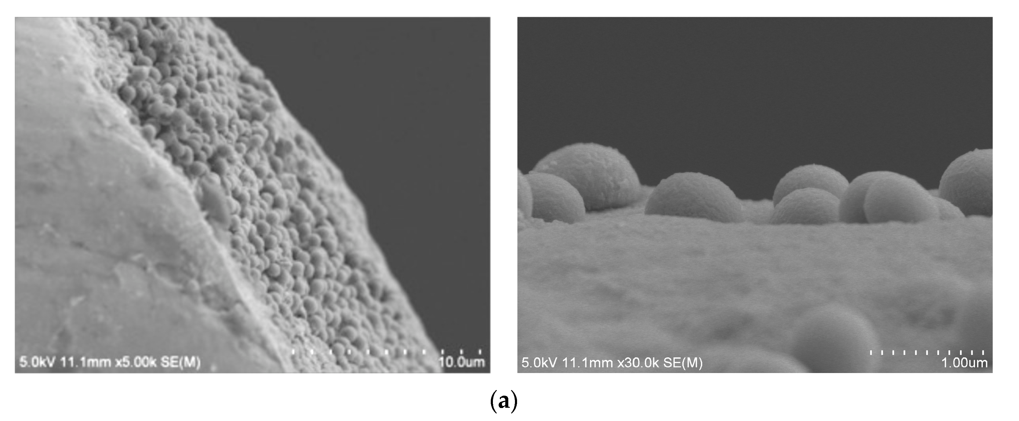 Nanomaterials 13 00985 g009a Nanomaterials 13 00985 g009a