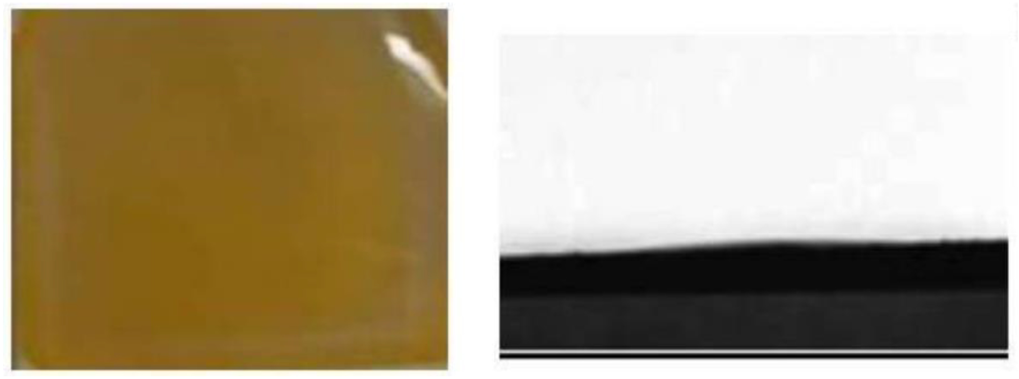 Nanomaterials 13 00991 g010