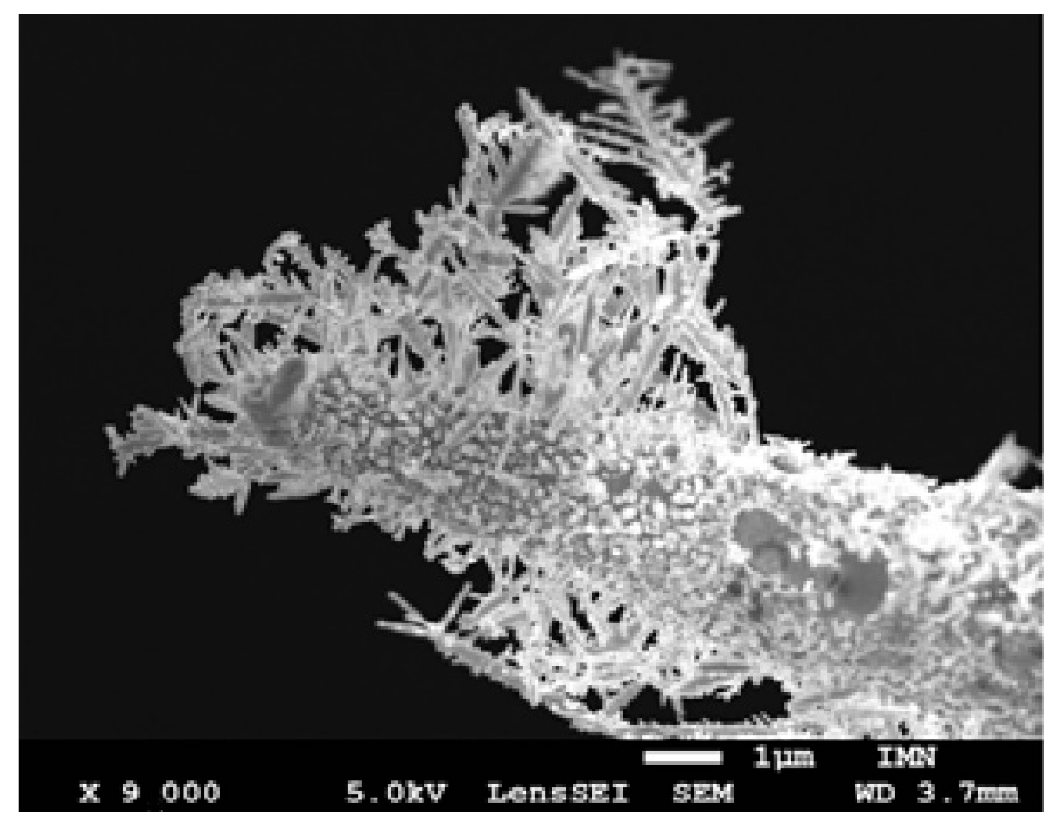 Nanomaterials 13 00996 g004